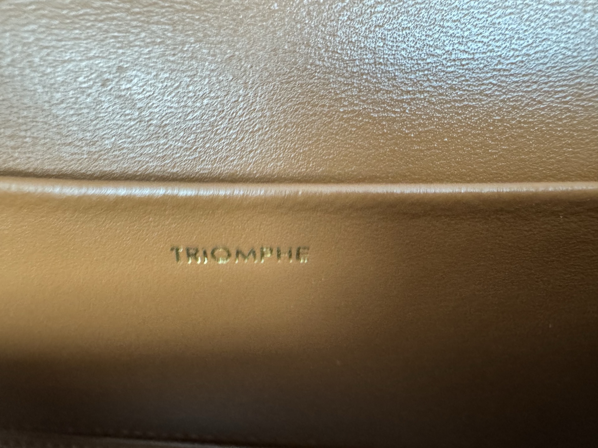 Celine Triomphe Canvas Chain Bag
