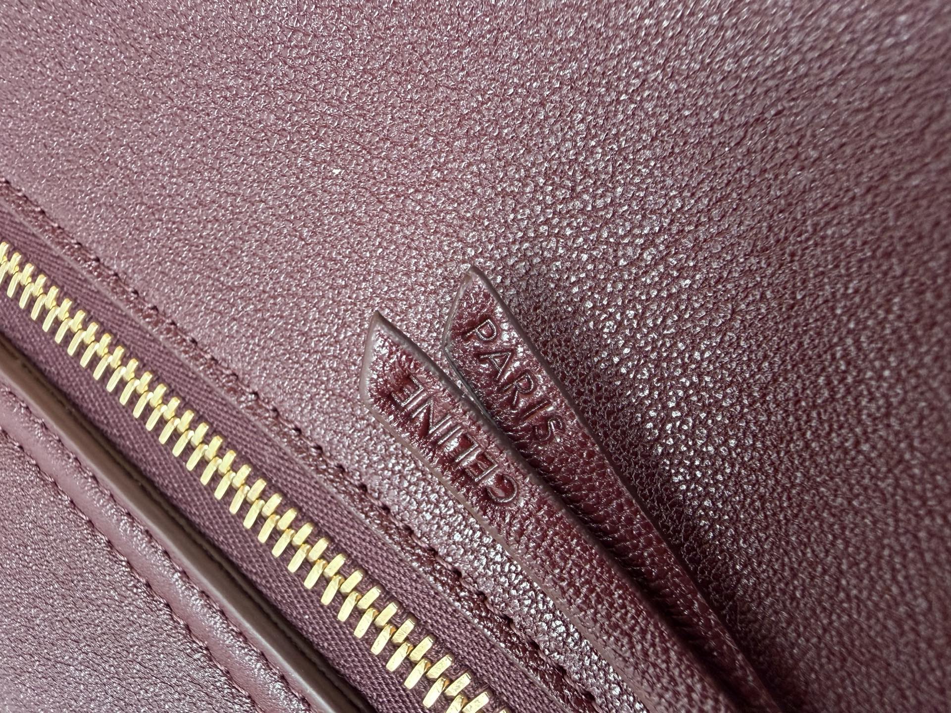 Celine Triomphe Leather Saddle Crossbody Bag