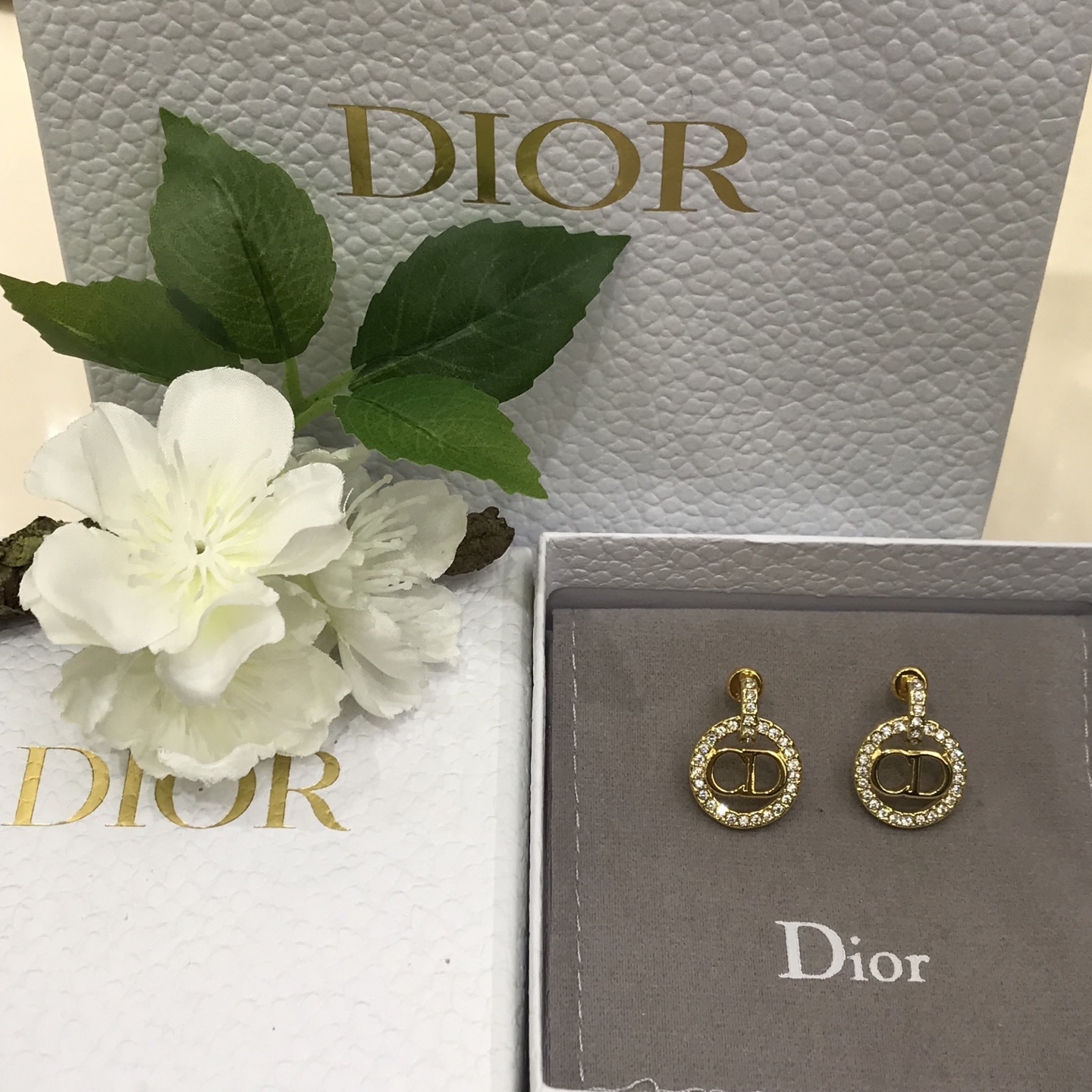 디올 귀걸이 134802 Dior Earrings