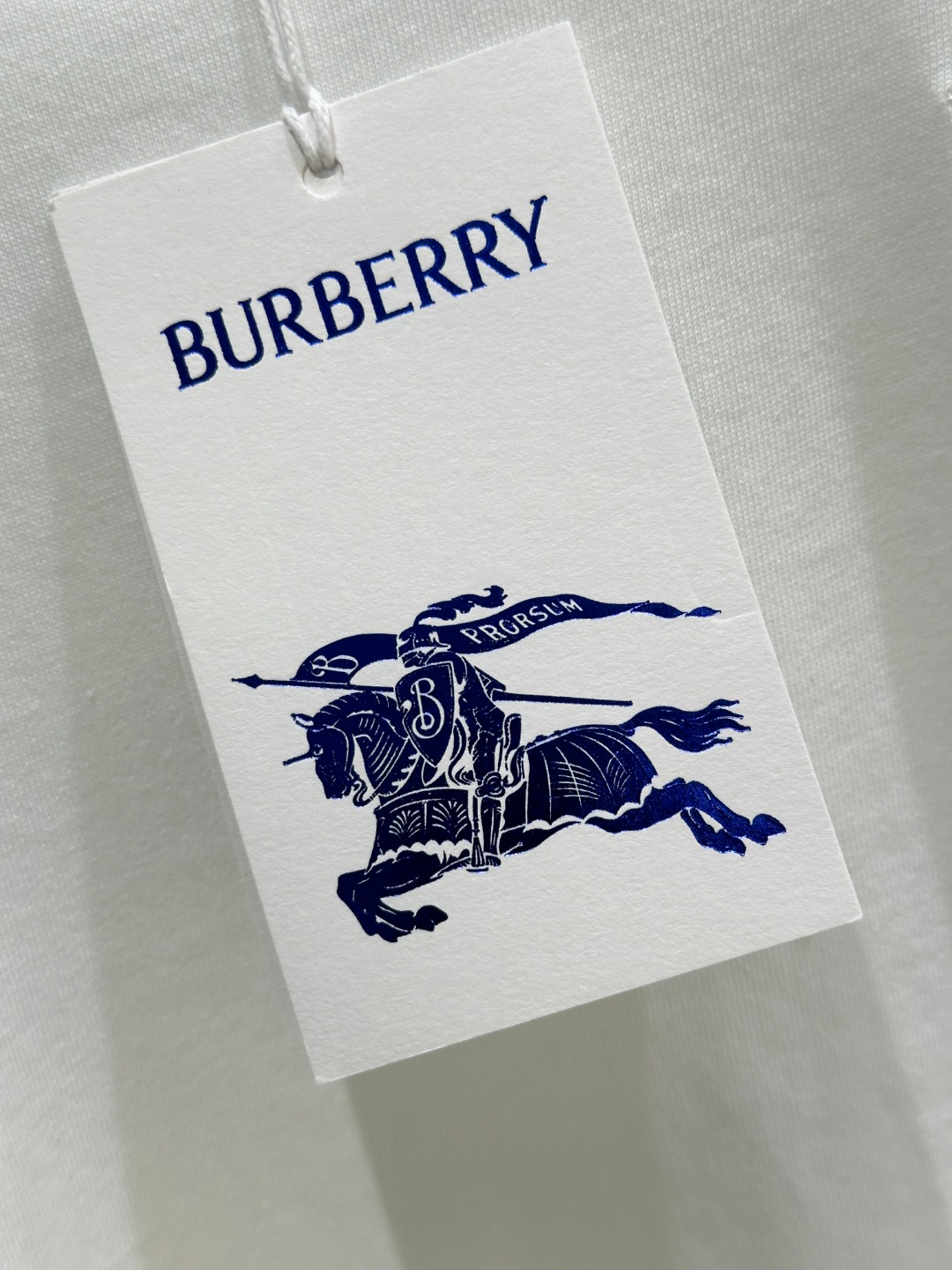 “High-Quality Women’s Suit: Barbara Embroidered Pure T-Shirts for 25SS Spring/Summer Collection” - 图片 6