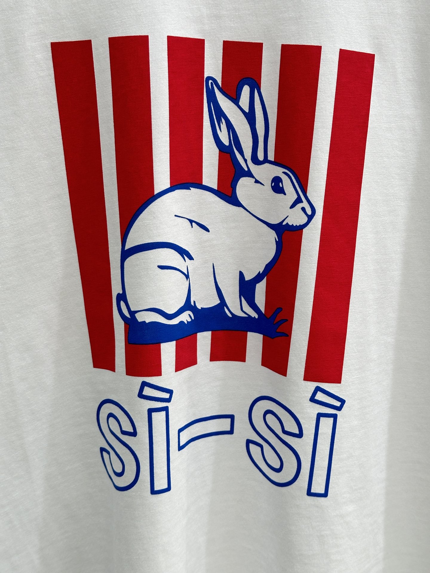 High Quality Women’s Clothes: SS Spring and Summer Collection Featuring Bunny Shorts and T-Shirts - 图片 4