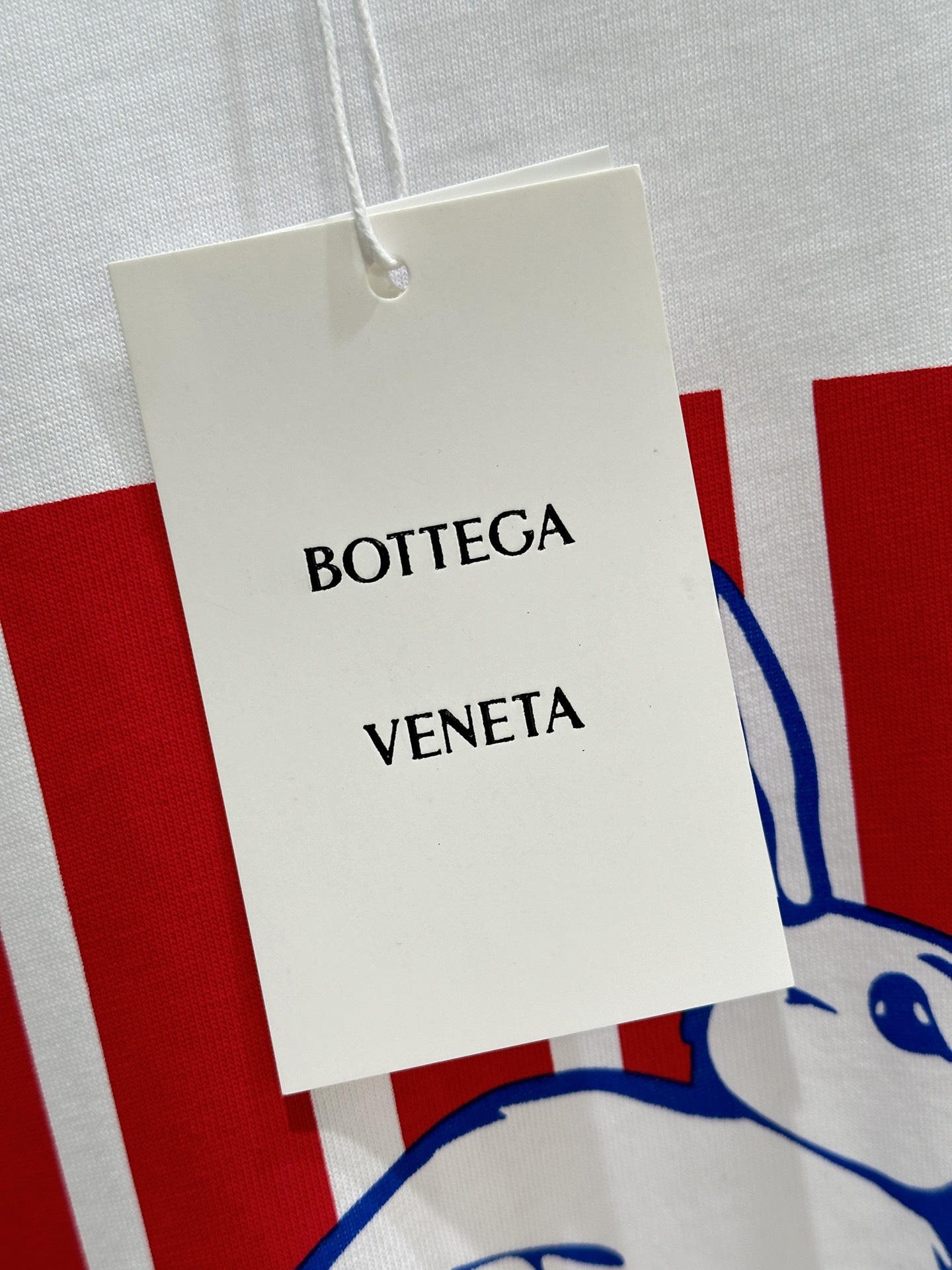 High Quality Women’s Clothes: SS Spring and Summer Collection Featuring Bunny Shorts and T-Shirts - 图片 5