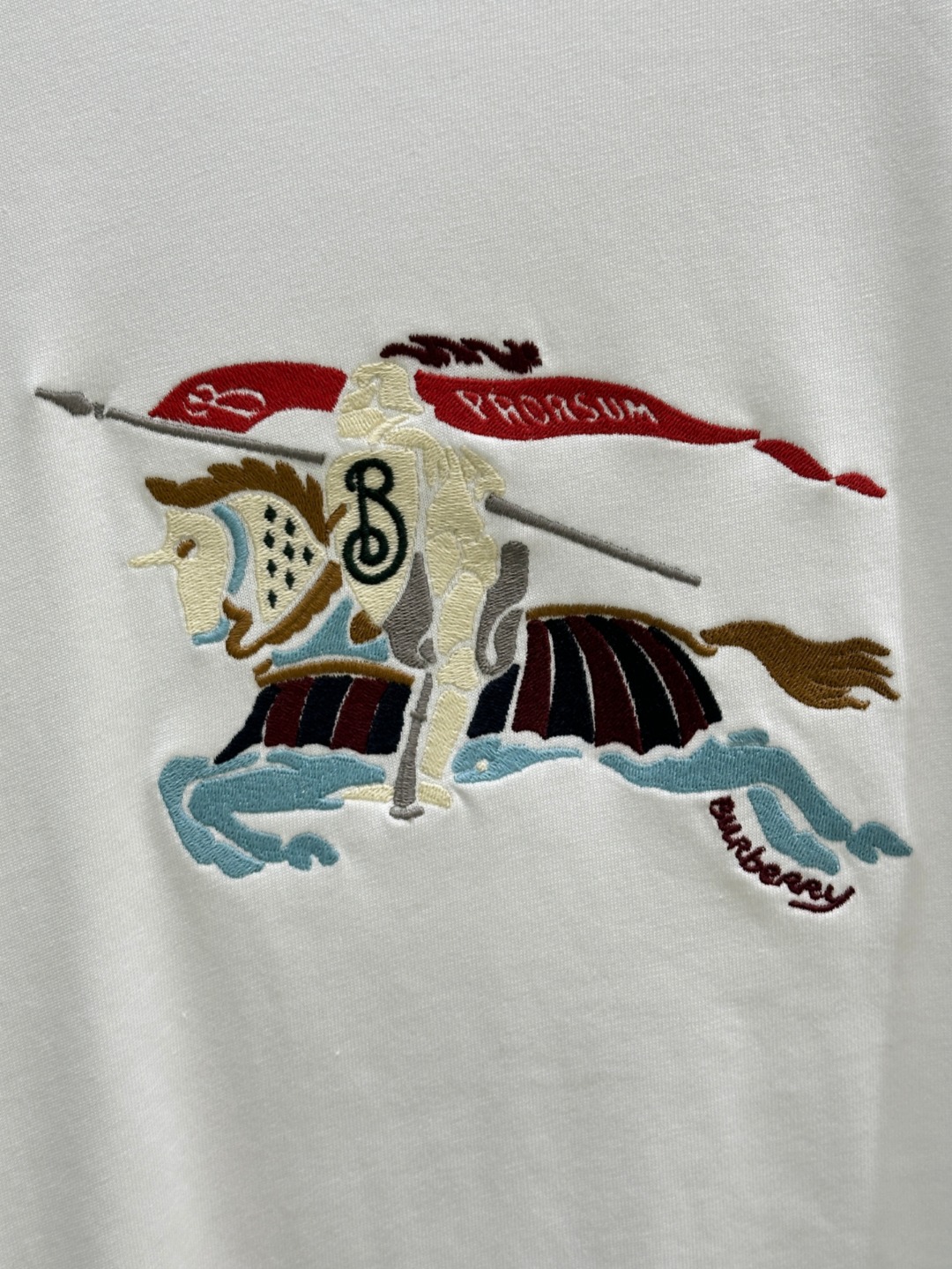 New Hard-Core Female Suit: Original, Durable, and Stylish Embroidered T-Shirts for Street Fashion - 图片 5