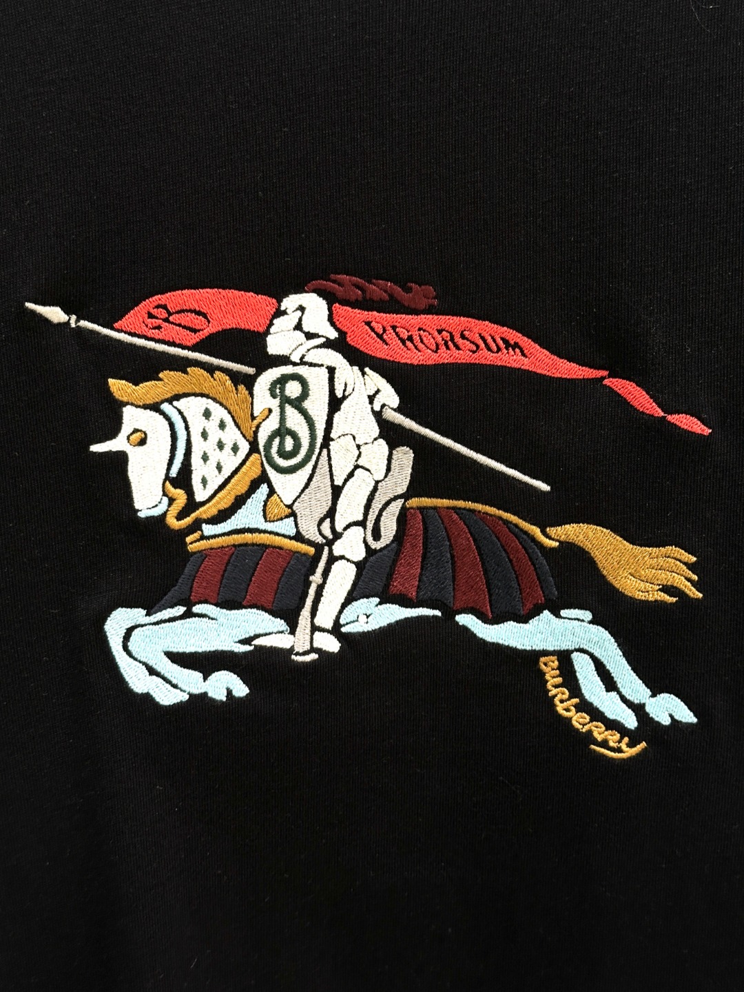 “New Arrival: Knights of Barbolis Embroidered T-Shirt – Classic, Durable, and Stylish” - 图片 6