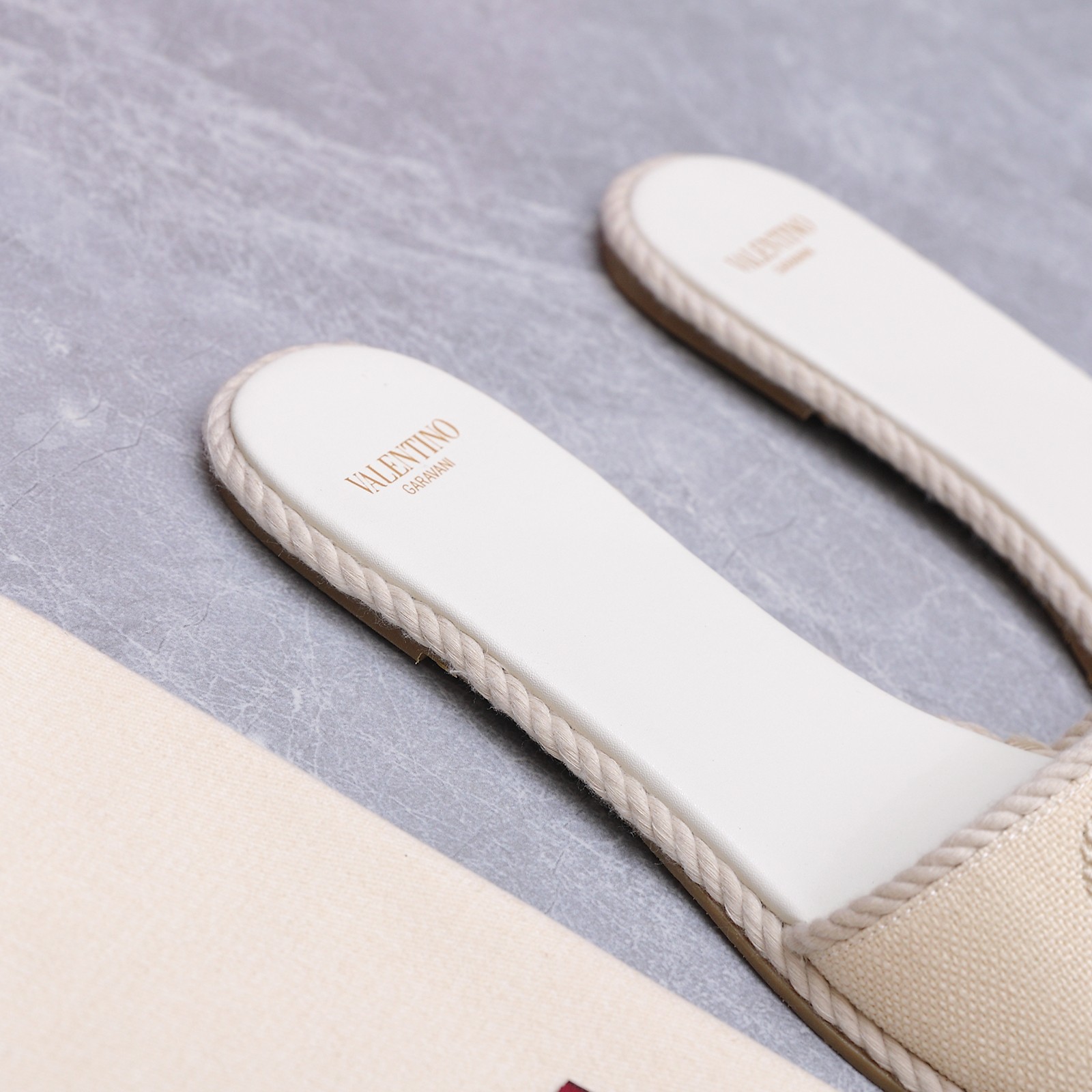 Valentino VLogo Canvas Slides