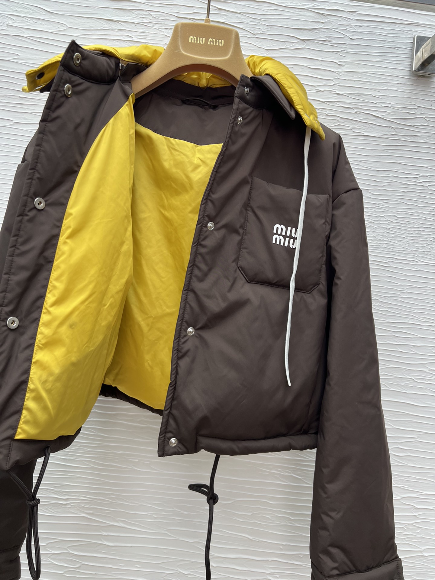Miu Miu Women's Down Puffer Jacket with Hooded and Logo Detail 9 i1757159282 2087 0