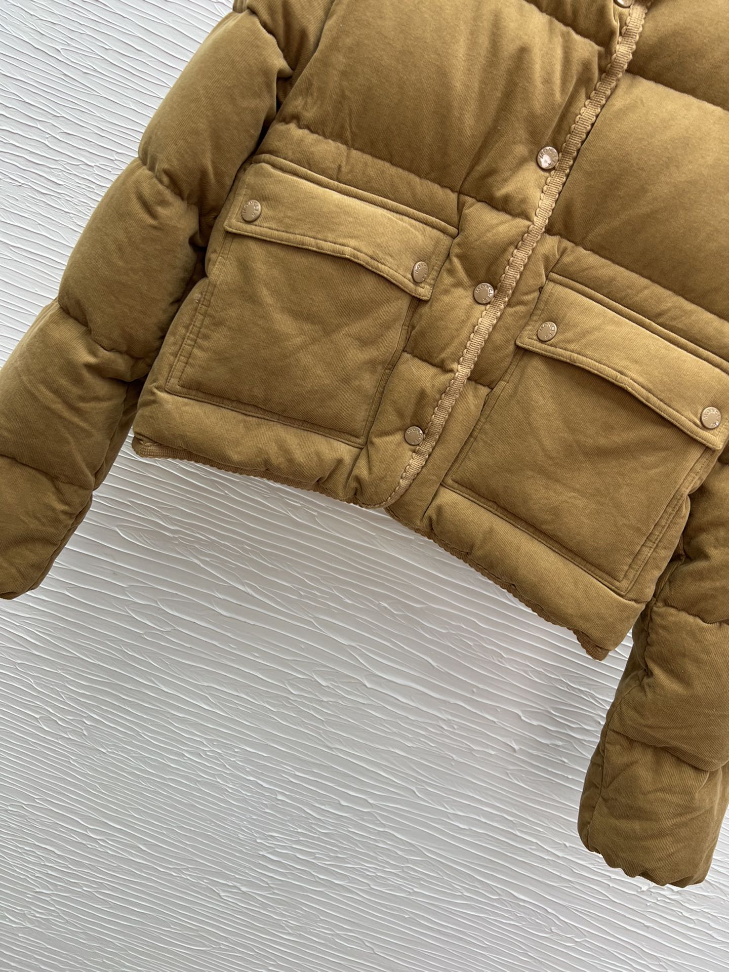 Moncler Velvet Padded Down Jacket, Elegant and Warm Winter Essential 9 i1758964086 7822 8
