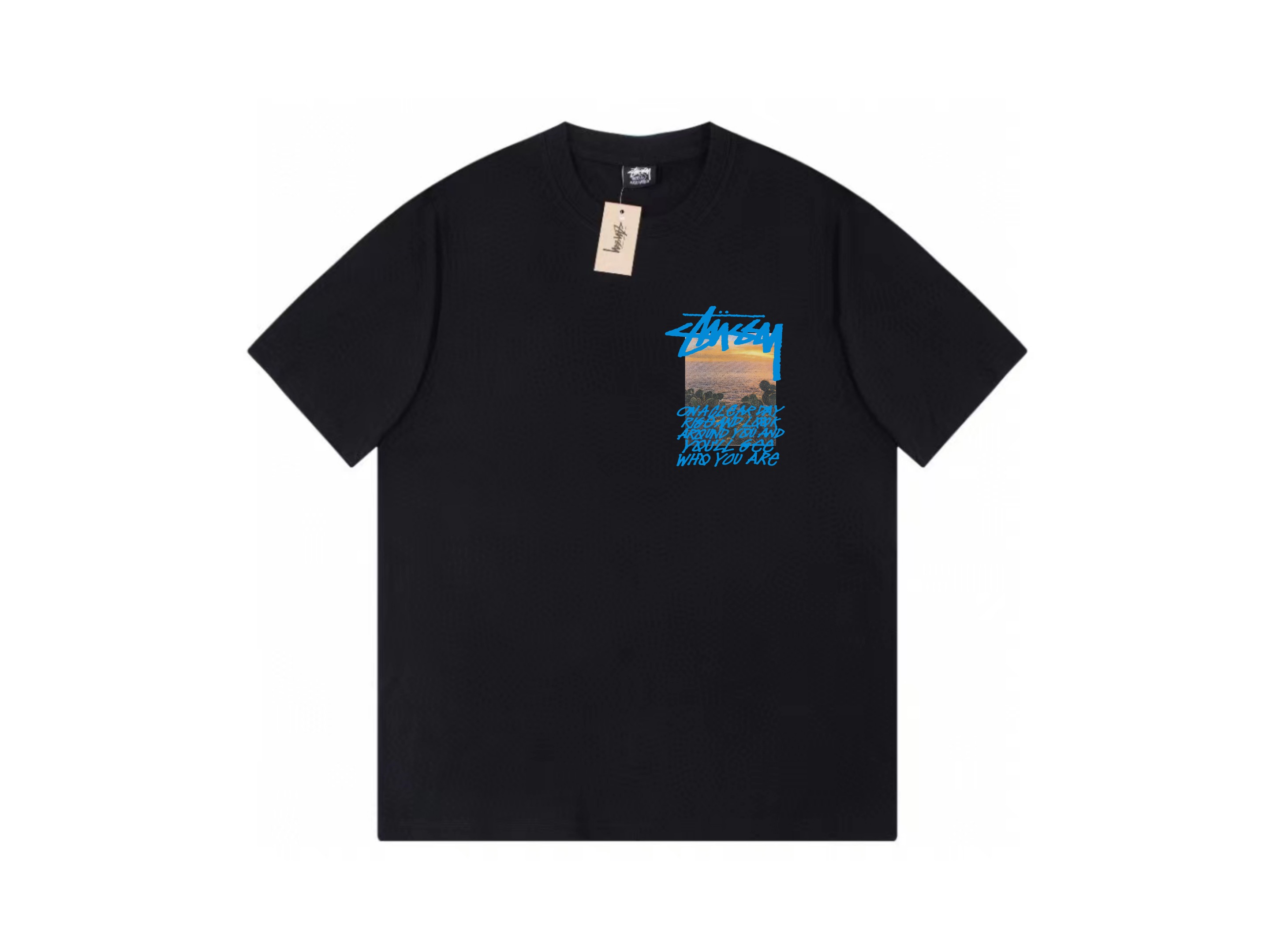 Stussy  T恤服装,男,女 2