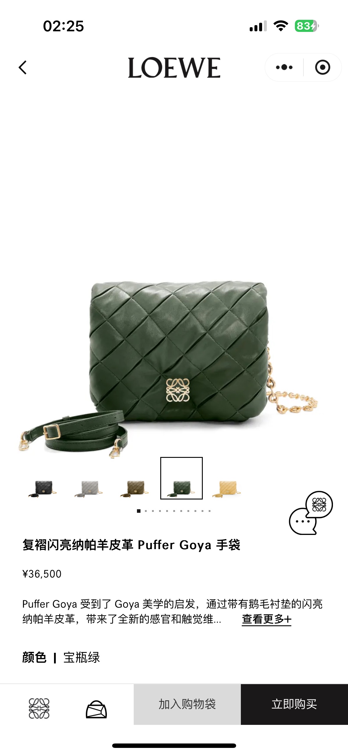 NO:342344,#Official website picture#,Puffer Goya handbag    19860909#官网图#,Puffer Goya,Bag