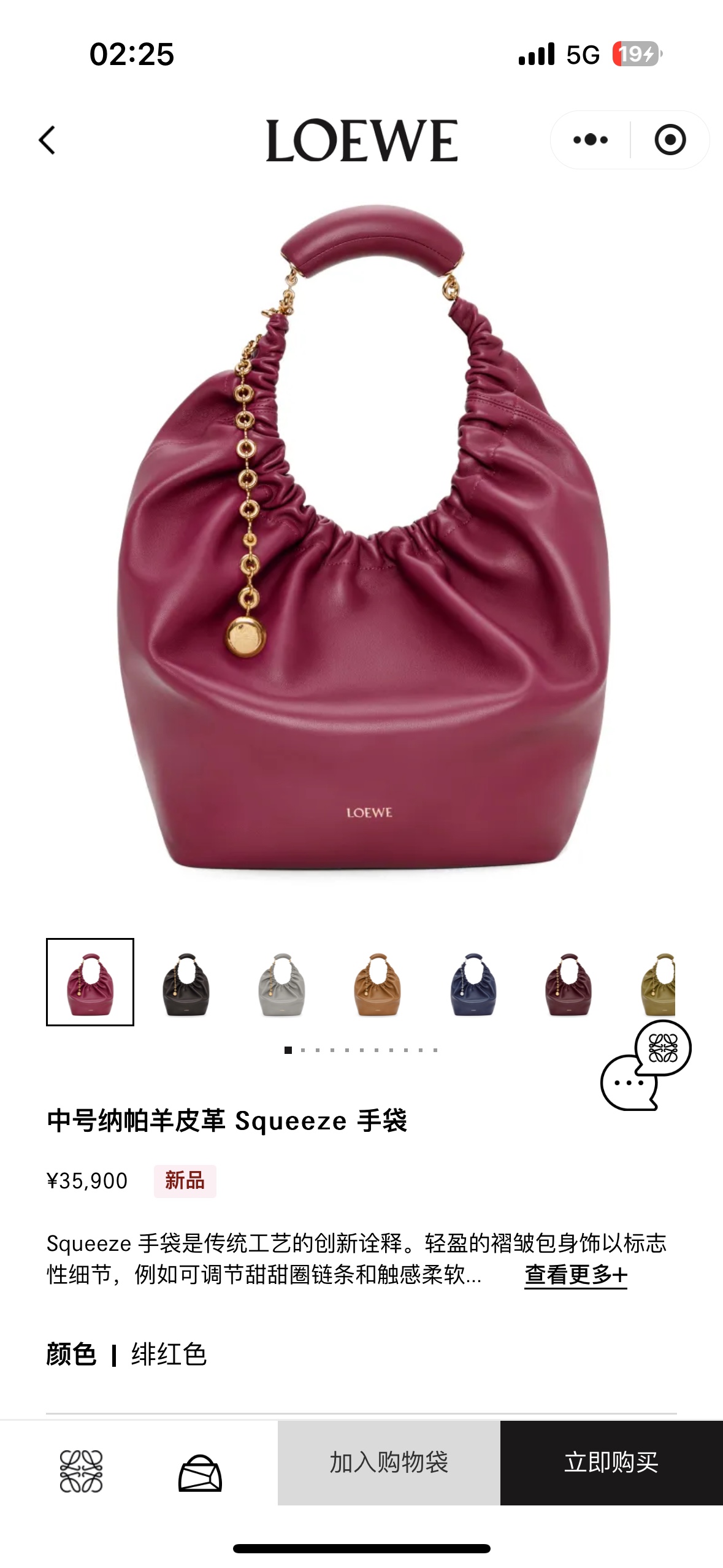 NO:342270,#Official website picture#, new style     Shoulder Squeeze handbag, sheepskin19860909#官网图#,新款    羊皮Squeeze手袋,she,Bag
