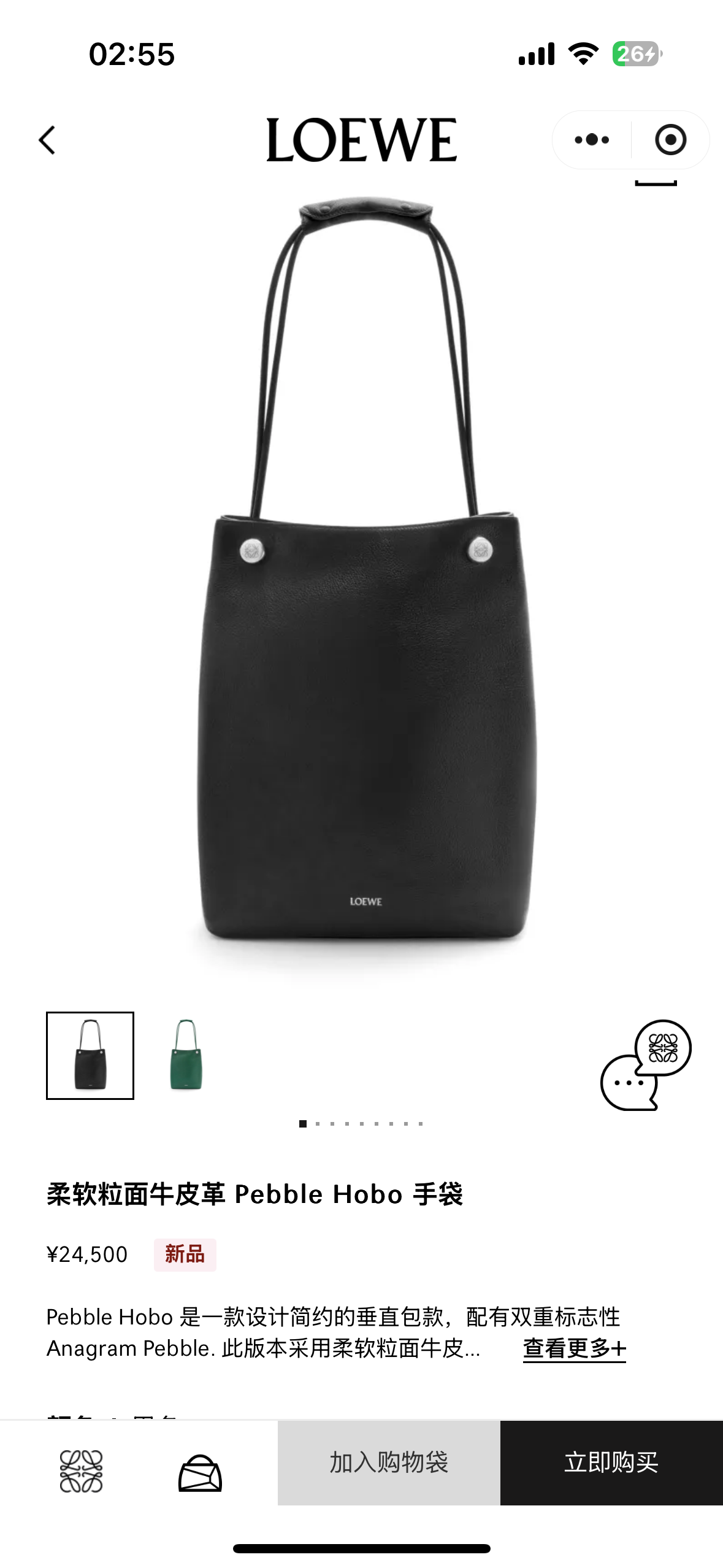 NO:191962,#Official website picture#, Men's Pebble Hobo19860909#官网图#,男款Pebble Hobo,Bag