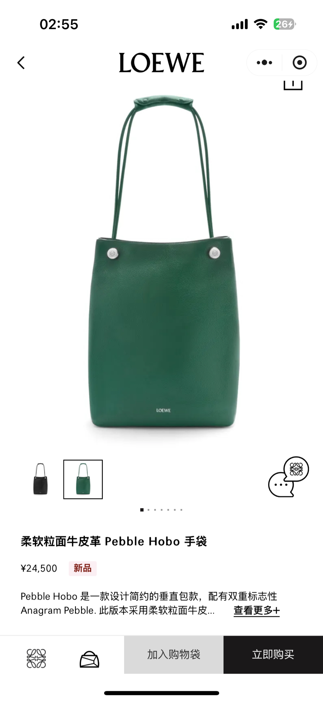 NO:191998,#Official website picture#, Men's Pebble Hobo19860909#官网图#,男款Pebble Hobo,Bag