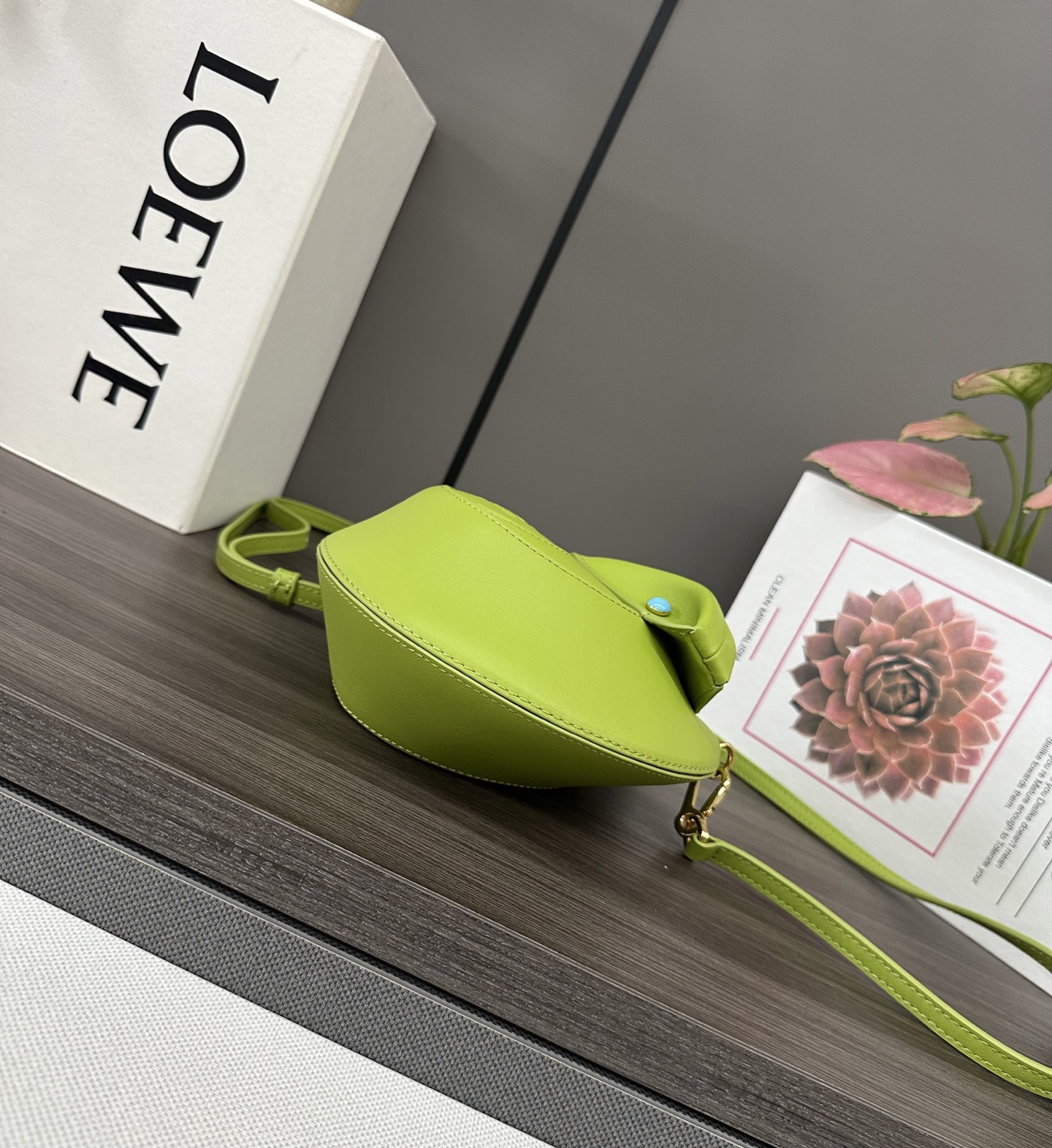 Loewe Anagram Snake Year Limited Edition Green Leather Round Crossbody Bag 4 i1744998975364 2357 0 3