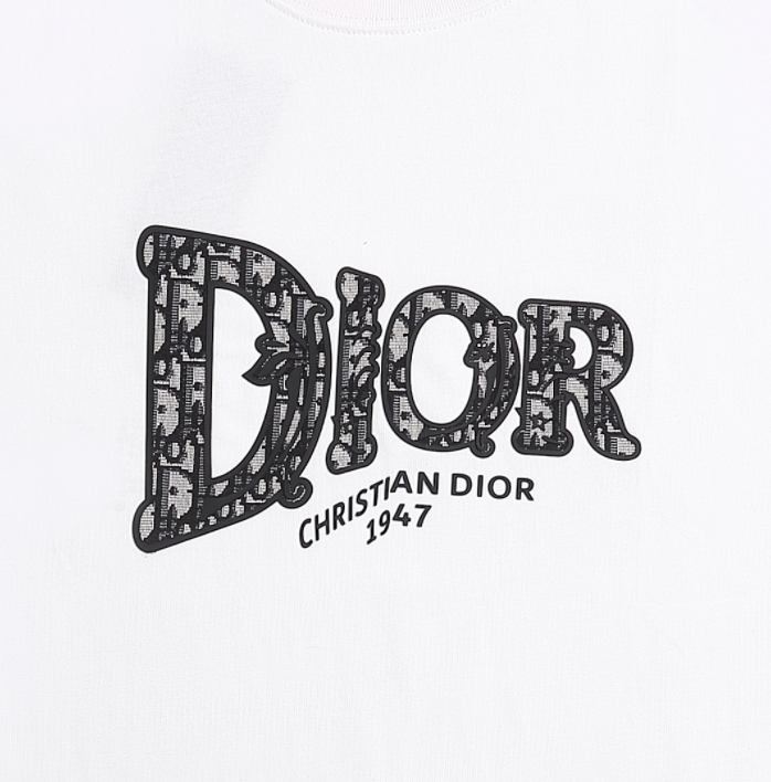 Dior/迪奥 25ss 渐变字母压胶及刺绣短袖T恤