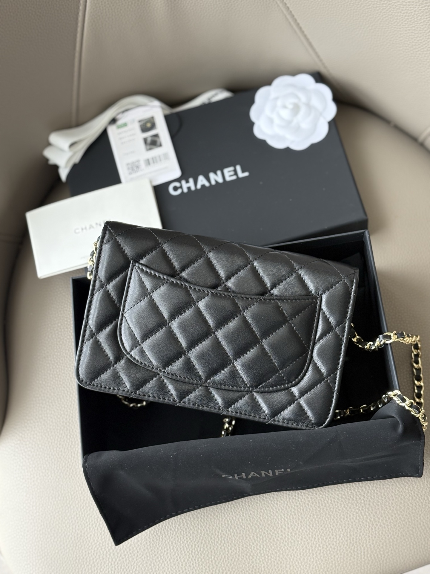 [Chanel Women