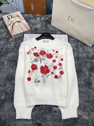 Dior Clothing Sweatshirts Embroidery Spring Collection