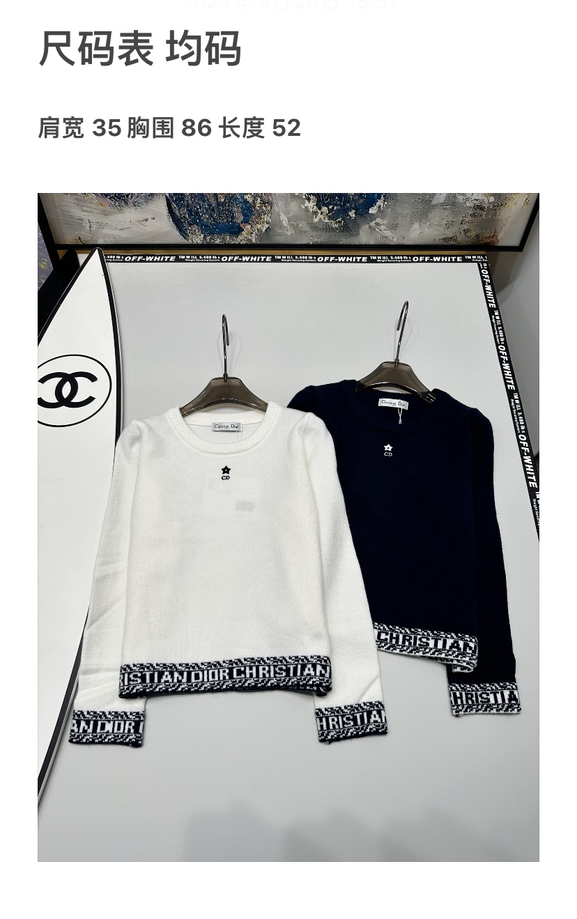 Dior Clothing Sweatshirts Embroidery Fall Collection