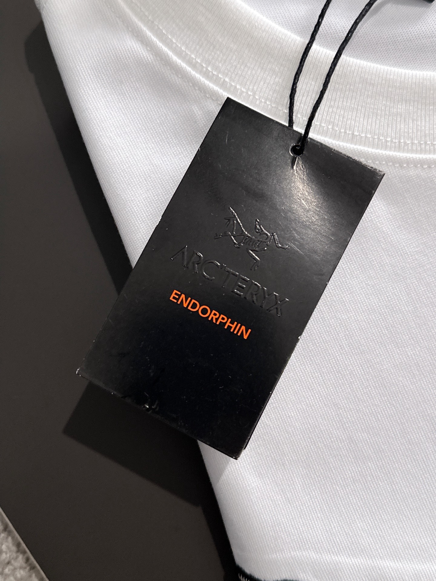  新款    始祖鸟 🔥🔥高端定制 2025春夏新款首发专柜最新款短袖圆领T恤 高端订制 设计前卫时尚！