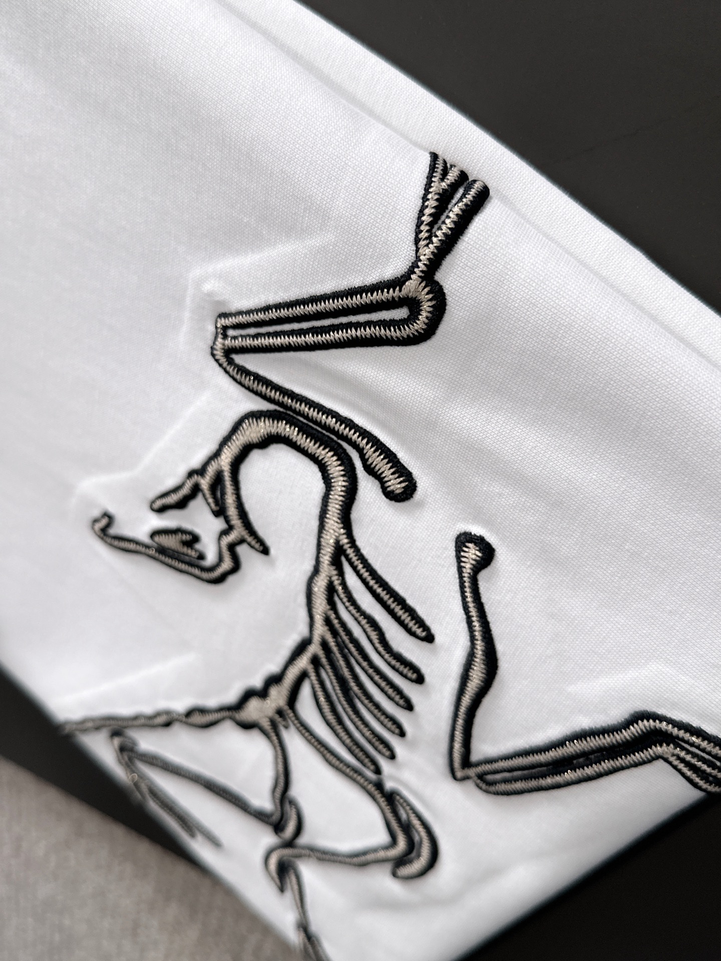  新款    始祖鸟 🔥🔥高端定制 2025春夏新款首发专柜最新款短袖圆领T恤 高端订制 设计前卫时尚！