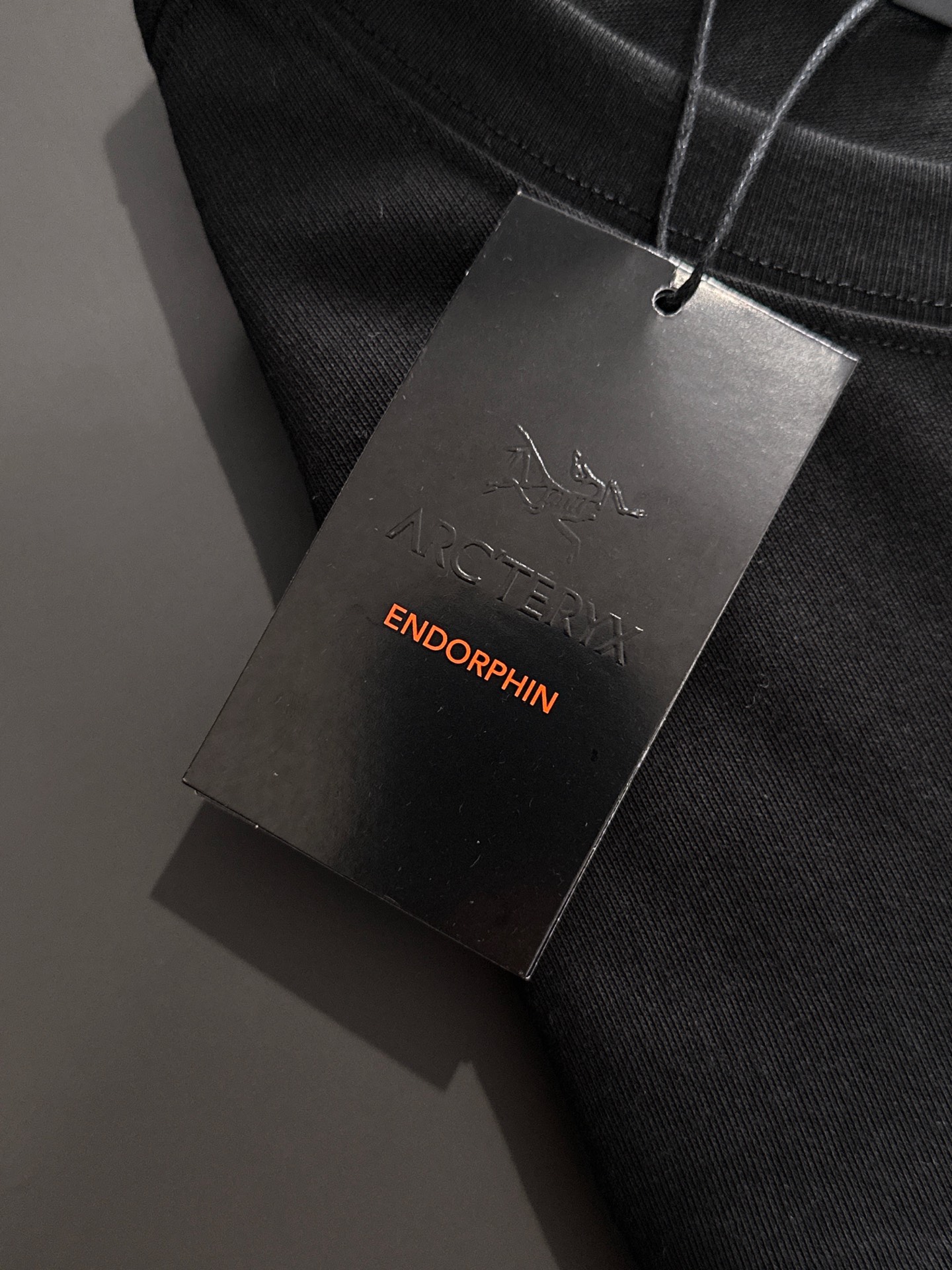  新款    始祖鸟 🔥🔥高端定制 2025春夏新款首发专柜最新款短袖圆领T恤 高端订制 设计前卫时尚！