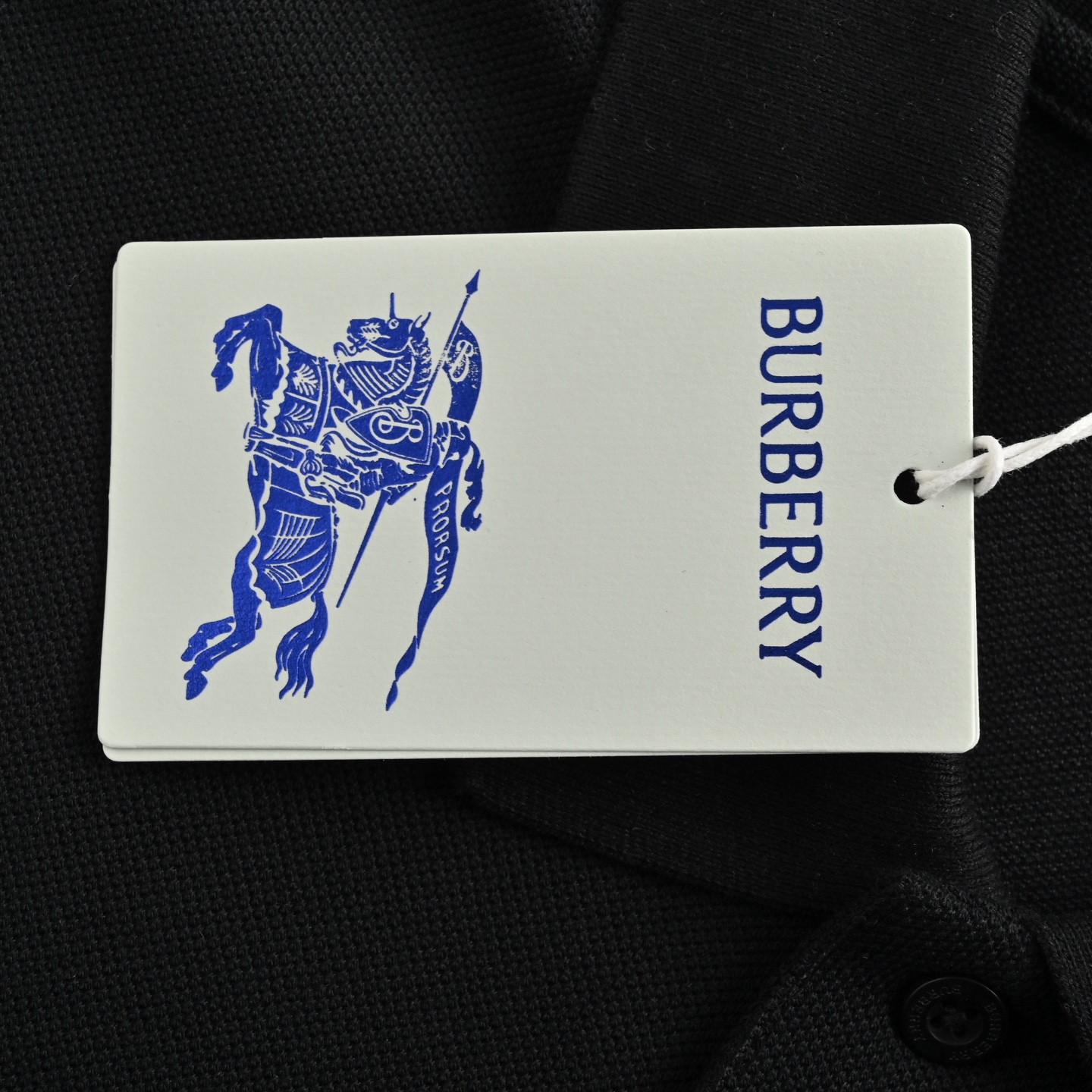 Burberry/巴宝莉 25ss 刺绣麦穗战马Polo短袖