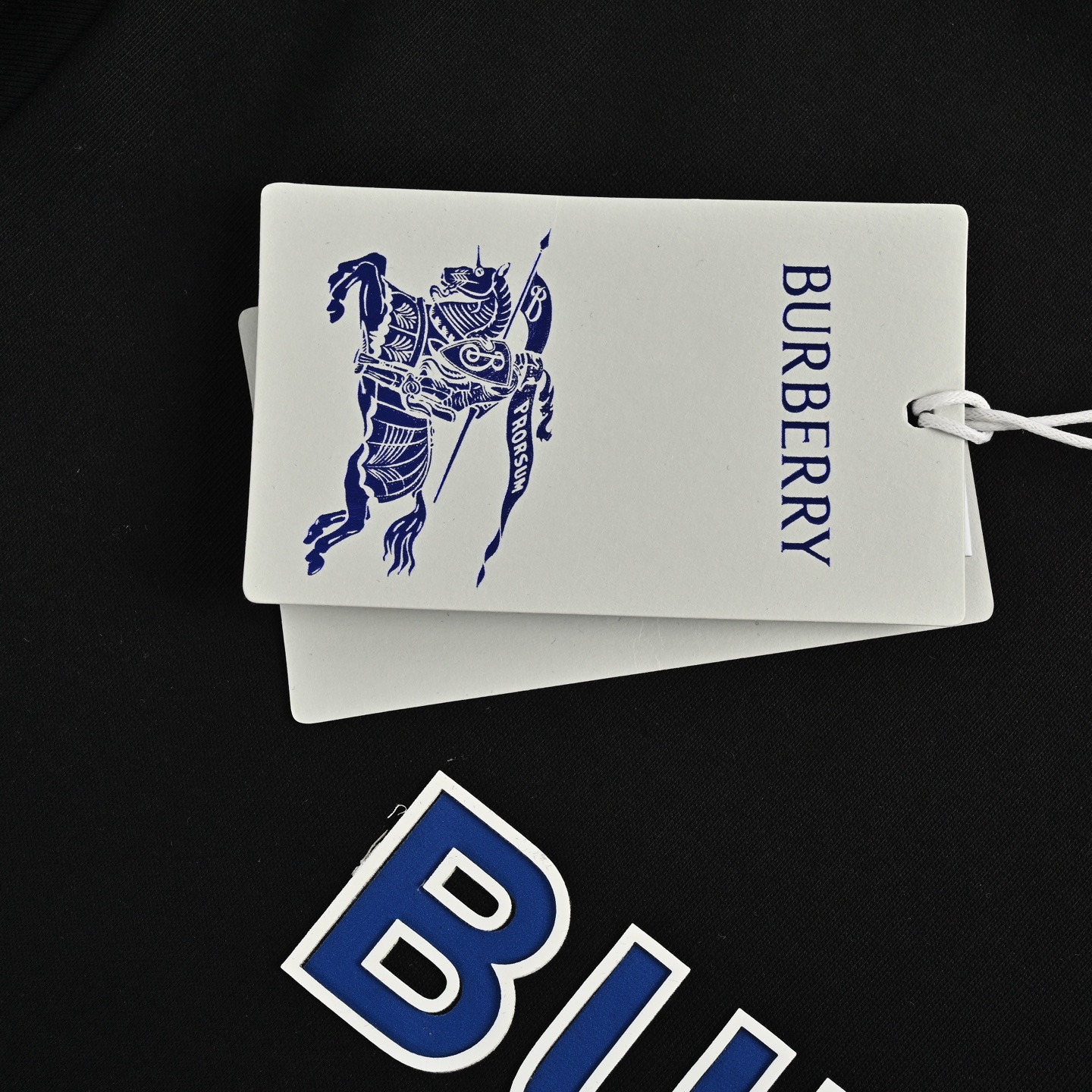 Burberry/巴宝莉 25ss 压胶蓝色字母印花短袖