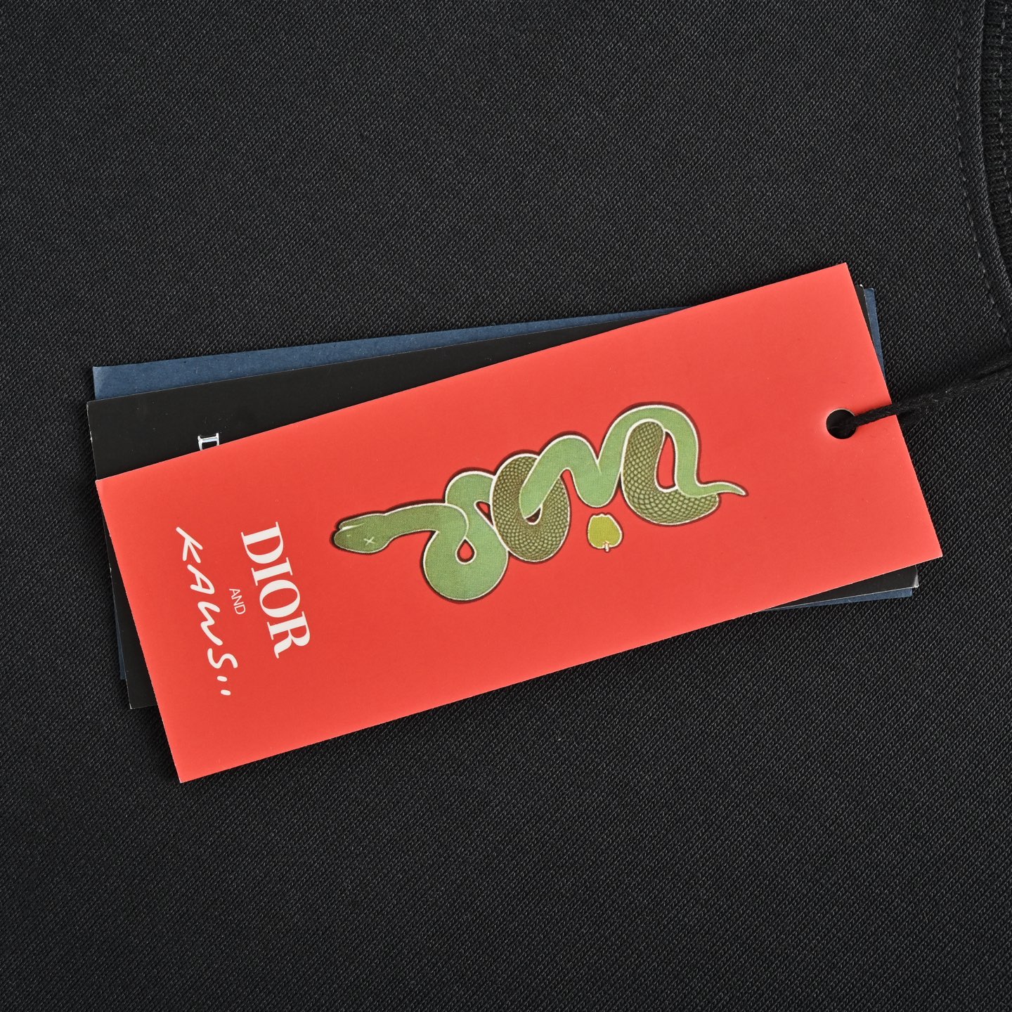 Dior/迪奥 25ss 蛇年限定刺绣短袖