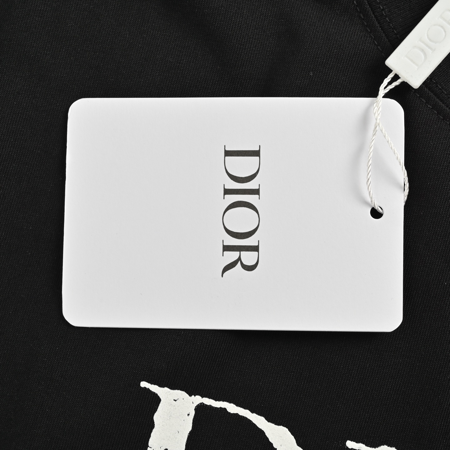 Dior/迪奥 25ss 石头岛联名斑驳字母logo印花短袖 黑色 白色