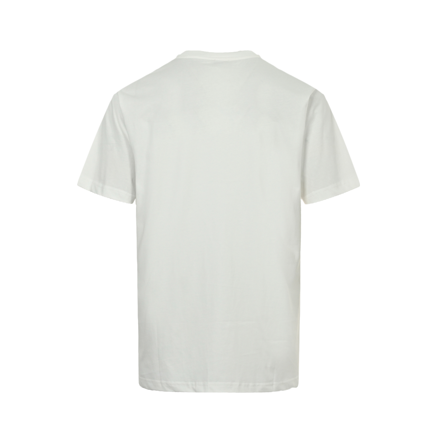 Dior/迪奥 24ss 植物标本印花短袖
