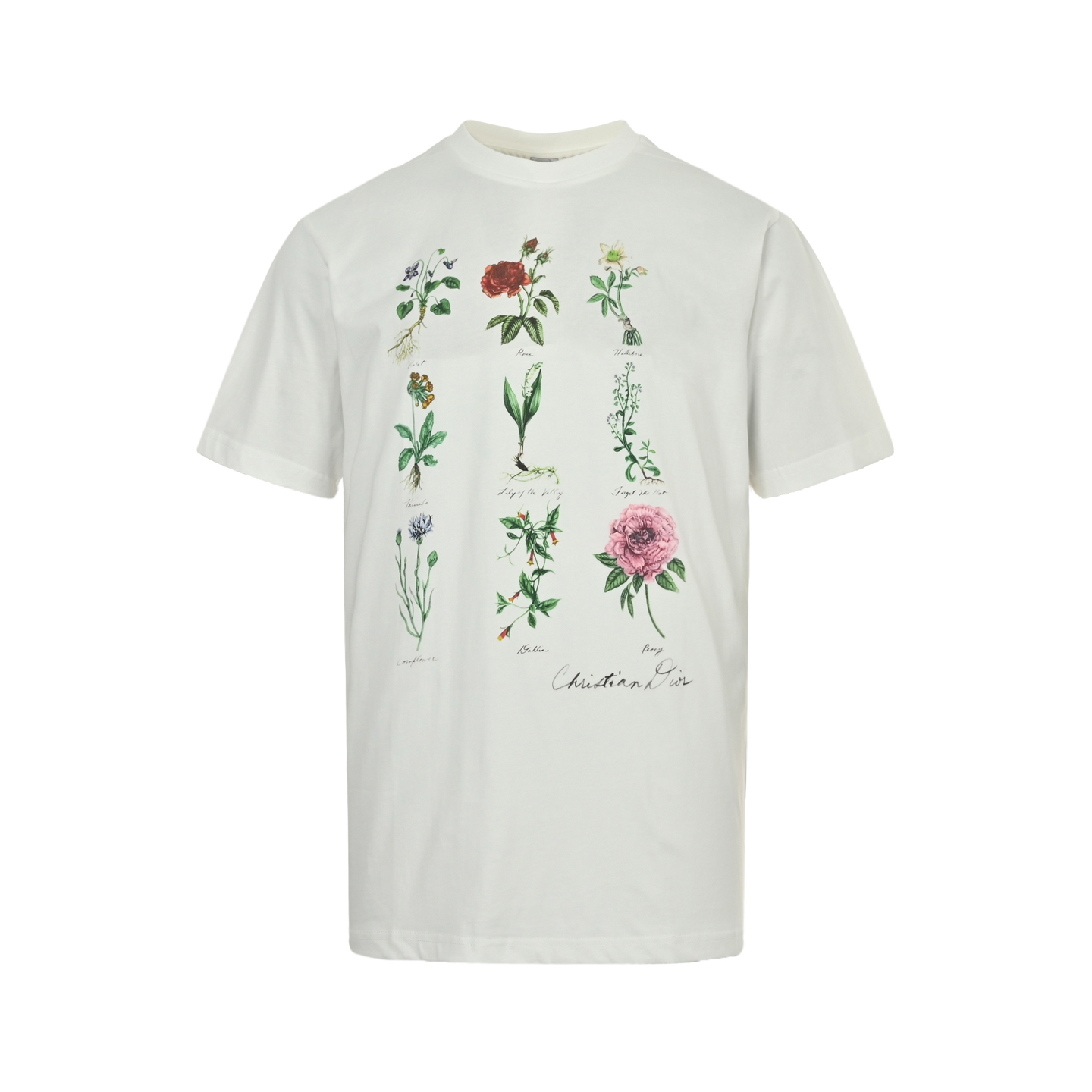 Dior/迪奥 24ss 植物标本印花短袖