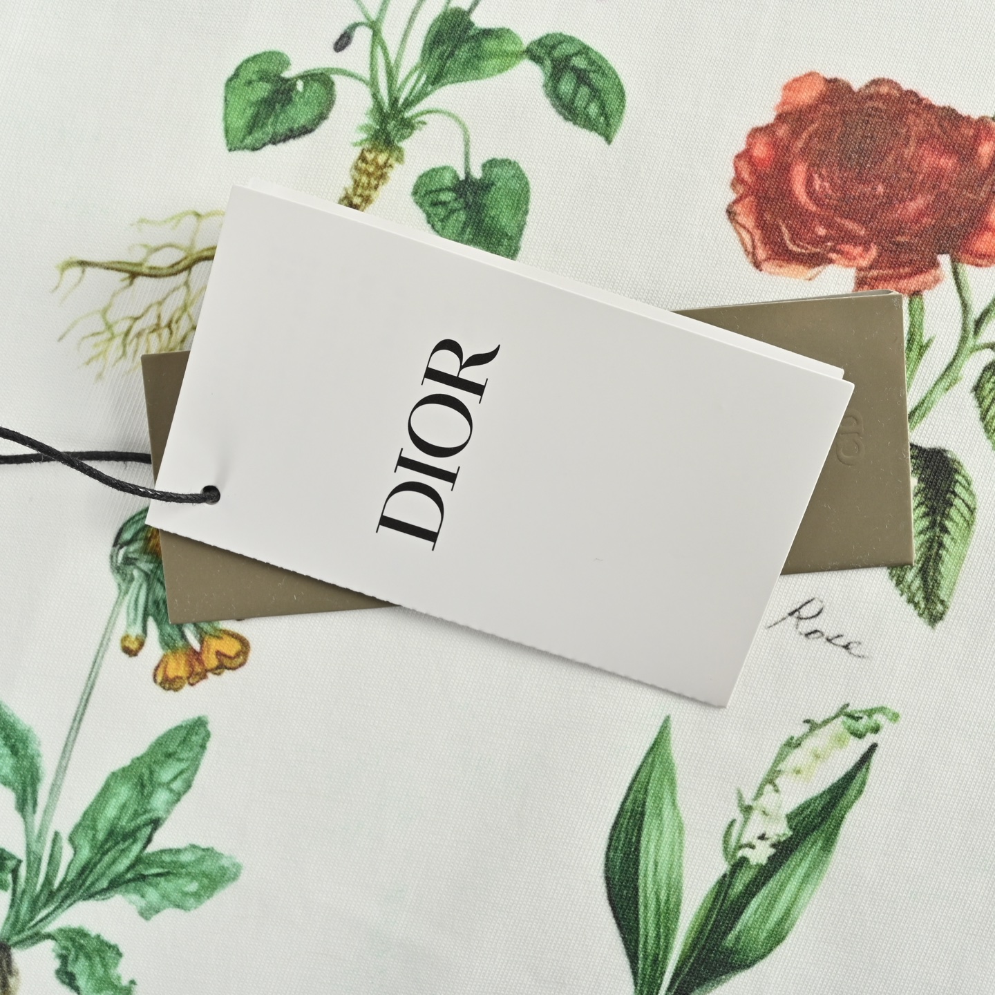 Dior/迪奥 24ss 植物标本印花短袖