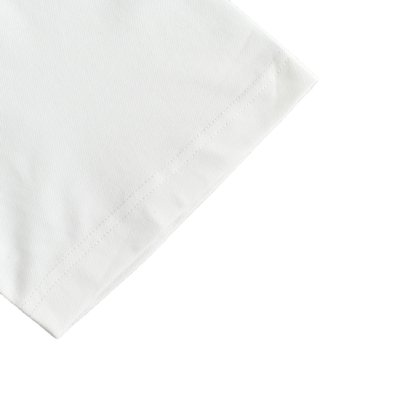 Dior/迪奥 25ss 小蓝猫刺绣Polo短袖