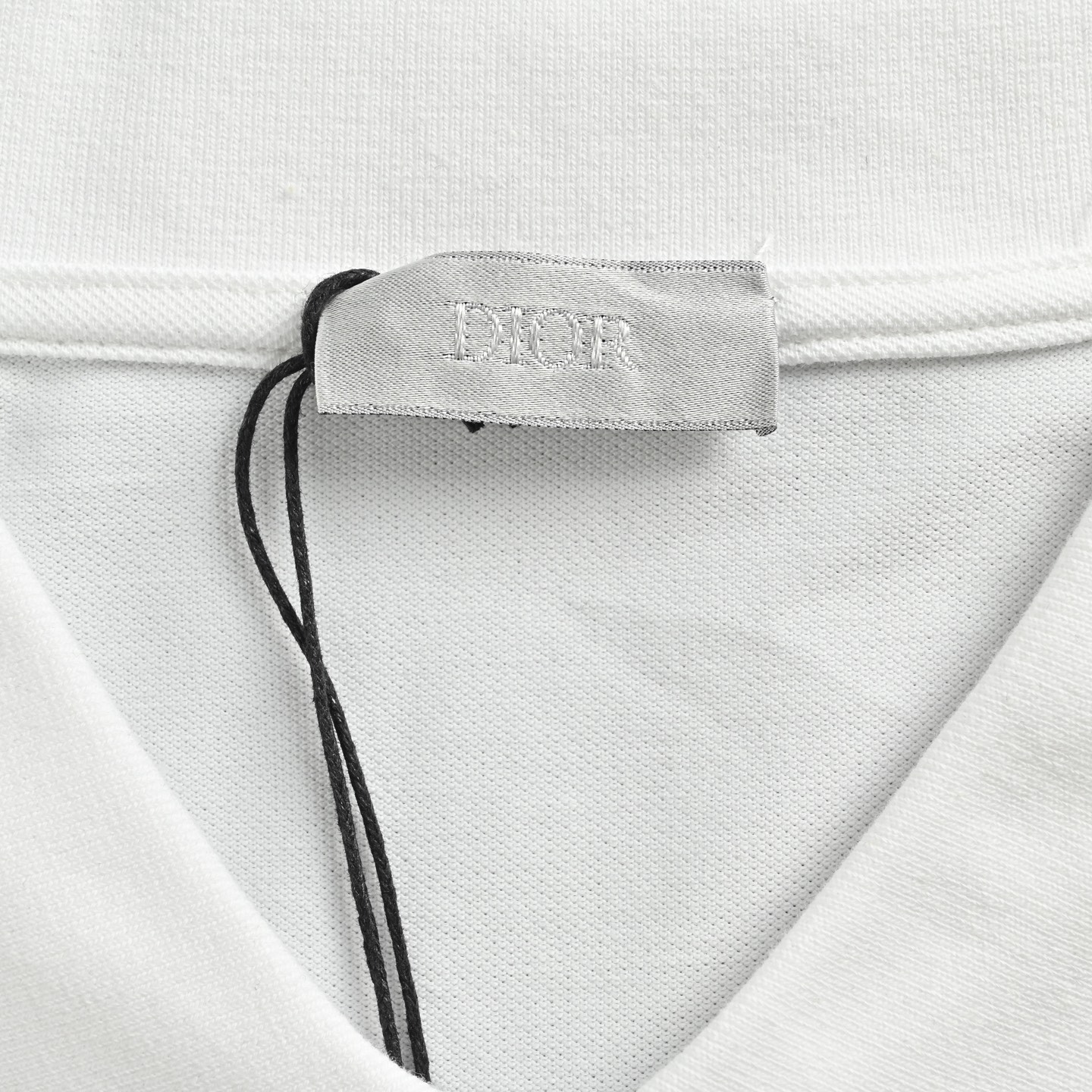 Dior/迪奥 25ss 小蓝猫刺绣Polo短袖
