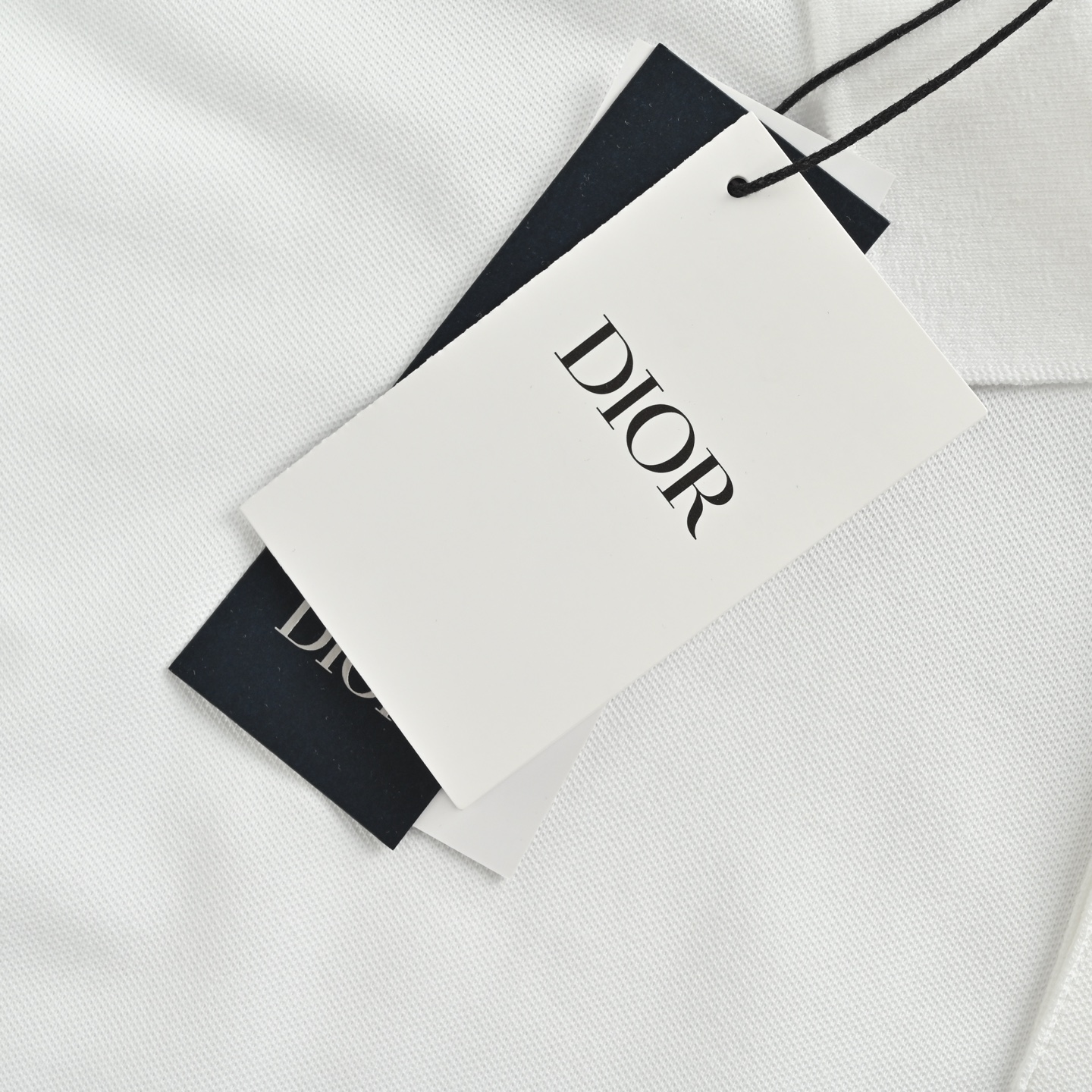 Dior/迪奥 25ss 小蓝猫刺绣Polo短袖