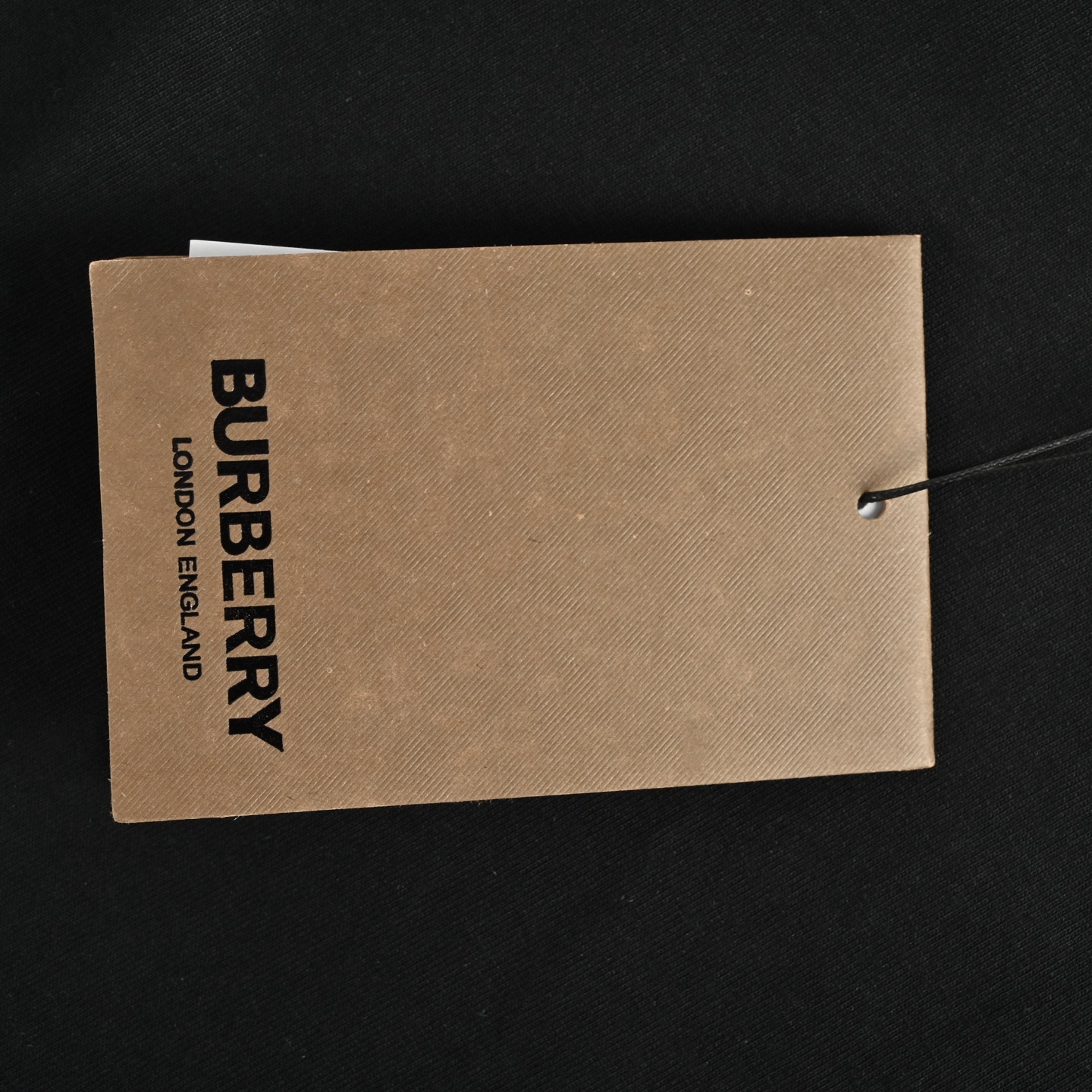 Burberry/巴宝莉 领口蓝色签名字母刺绣短袖