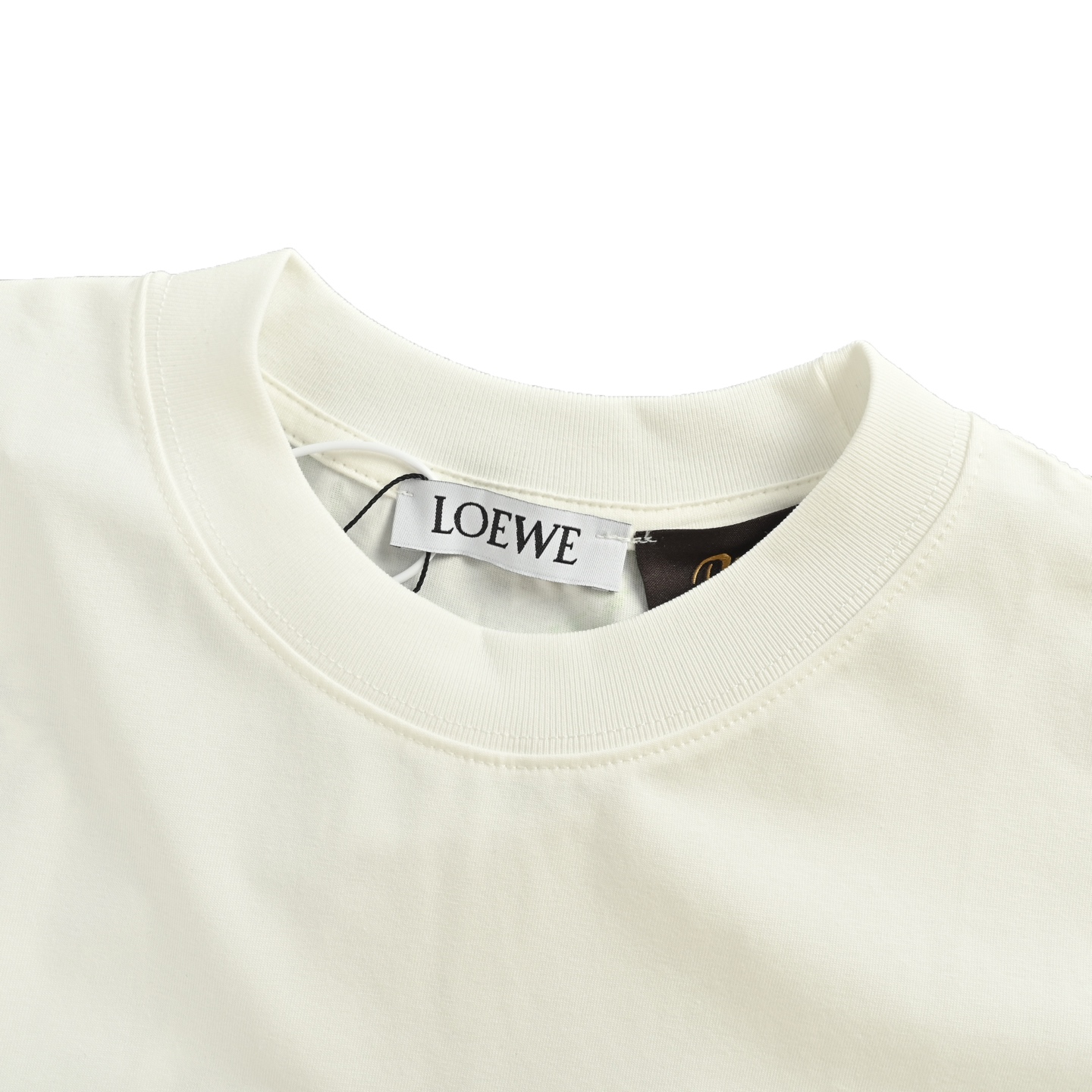 Loewe/罗意威 25ss 玫瑰花花卉印花短袖