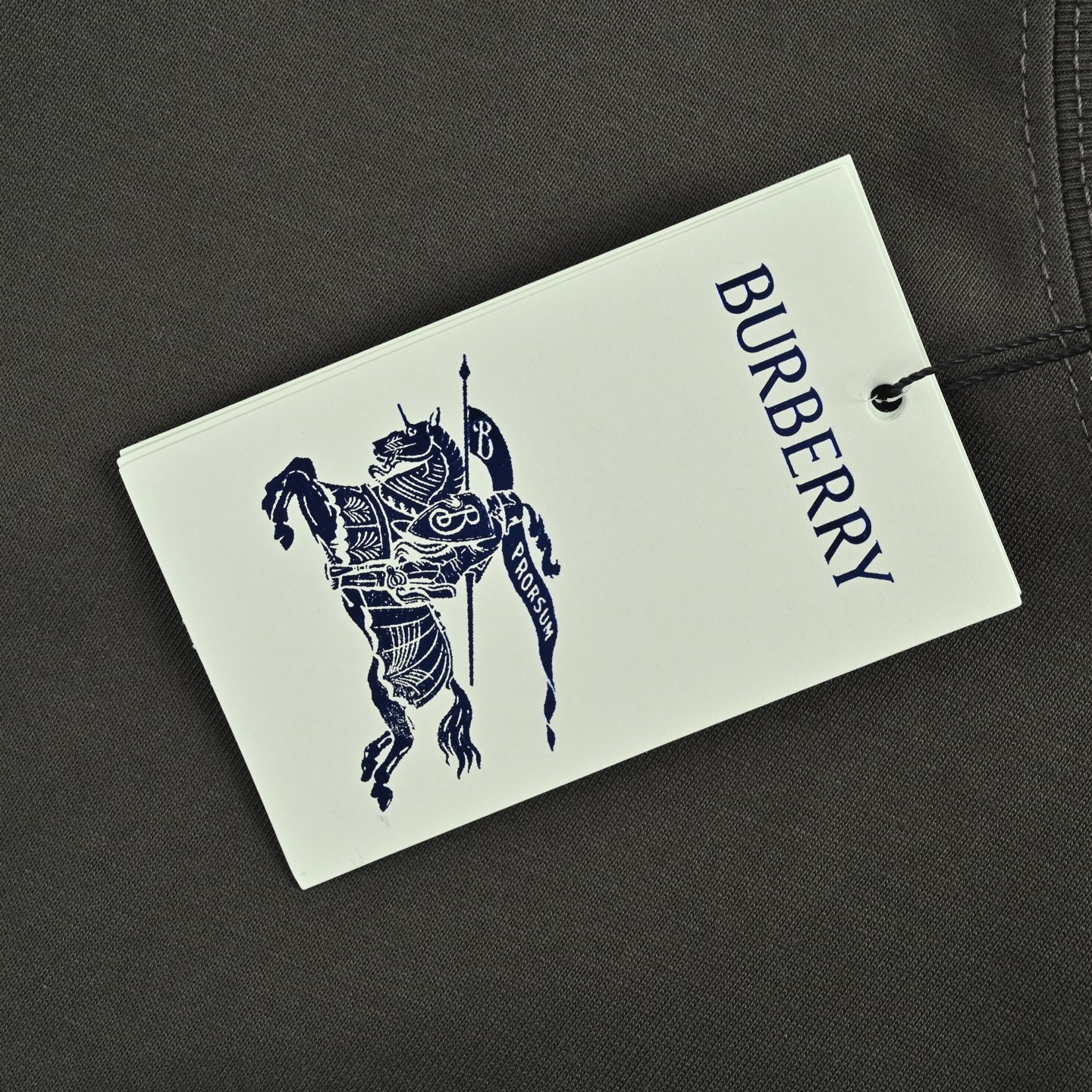 Burberry/巴宝莉 25ss 素描战马短袖