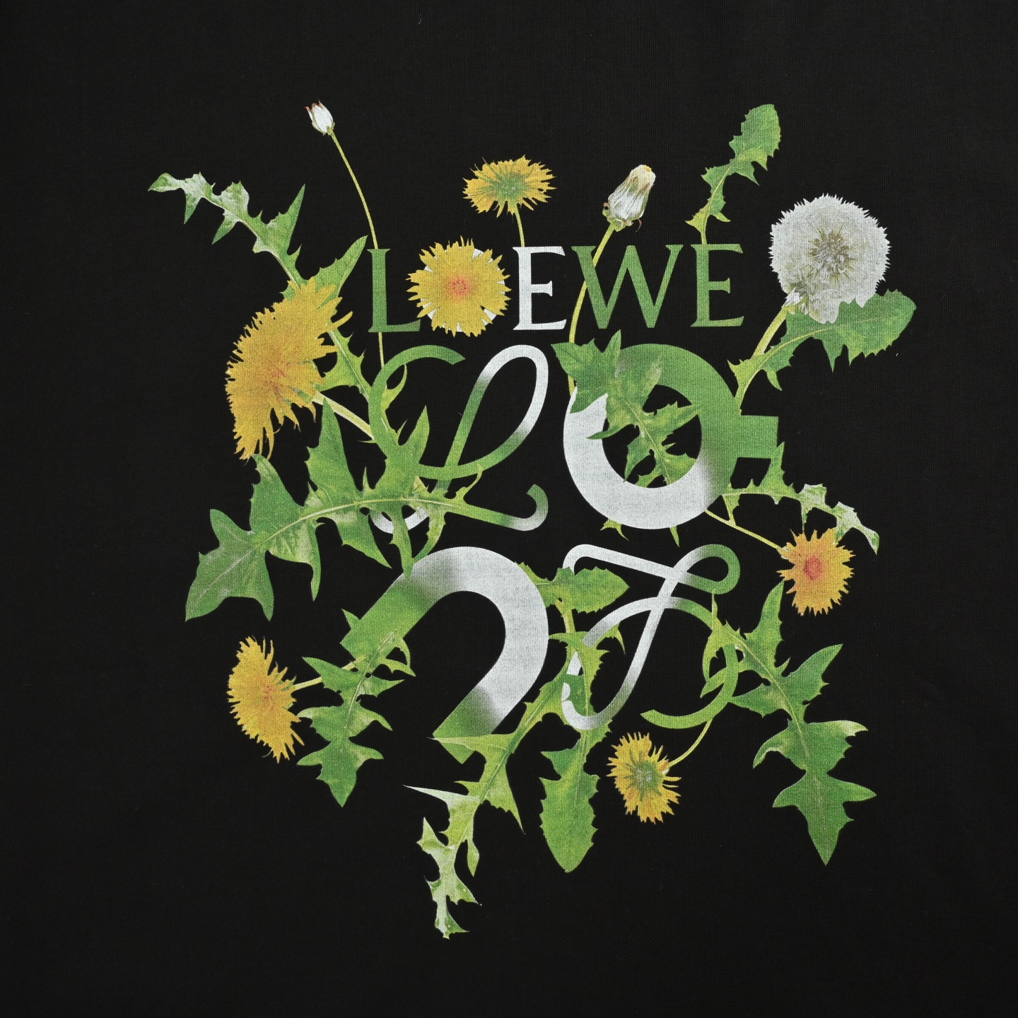 Loewe/罗意威 25ss 昂跑联名花卉印花短袖