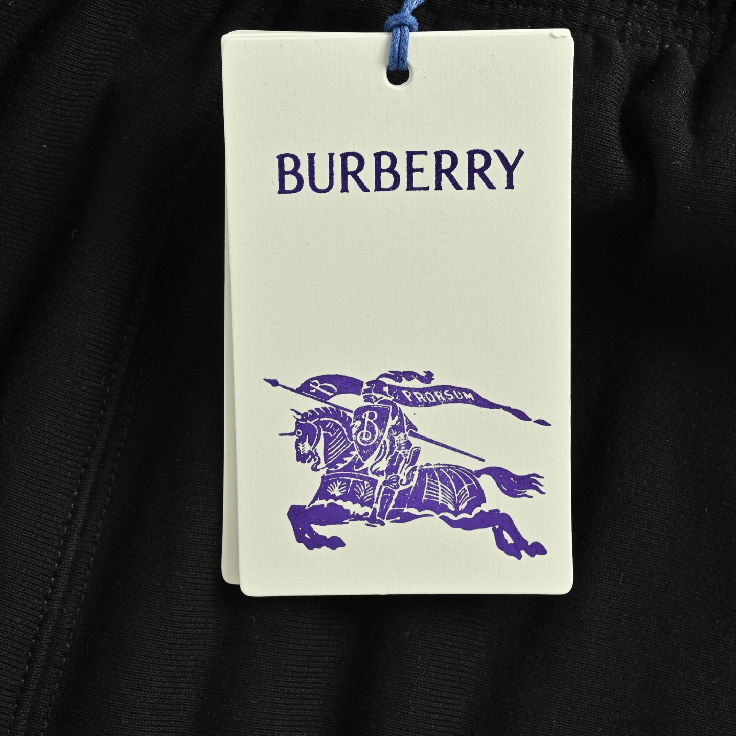 Burberry/巴宝莉 25ss 草写字母植绒logo短裤