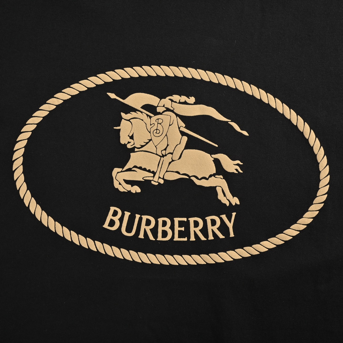 Burberry/巴宝莉 25ss 圆圈战马印花短袖-Chinese UA Cheap High Quatity Brand Clothes Bags handbags Sneakers wholesale wholesaler seller from China Factory suppliers Fashion Clothing Shoes best Quality Beautiful Price Burberry/巴宝莉 25ss 圆圈战马印花短袖