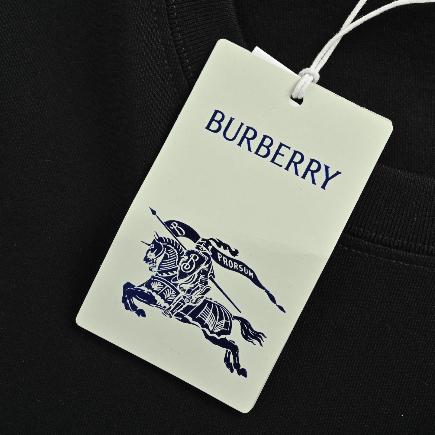 Burberry/巴宝莉 25ss 重叠战马logo印花短袖-Chinese UA Cheap High Quatity Brand Clothes Bags handbags Sneakers wholesale wholesaler seller from China Factory suppliers Fashion Clothing Shoes best Quality Beautiful Price Burberry/巴宝莉 25ss 重叠战马logo印花短袖