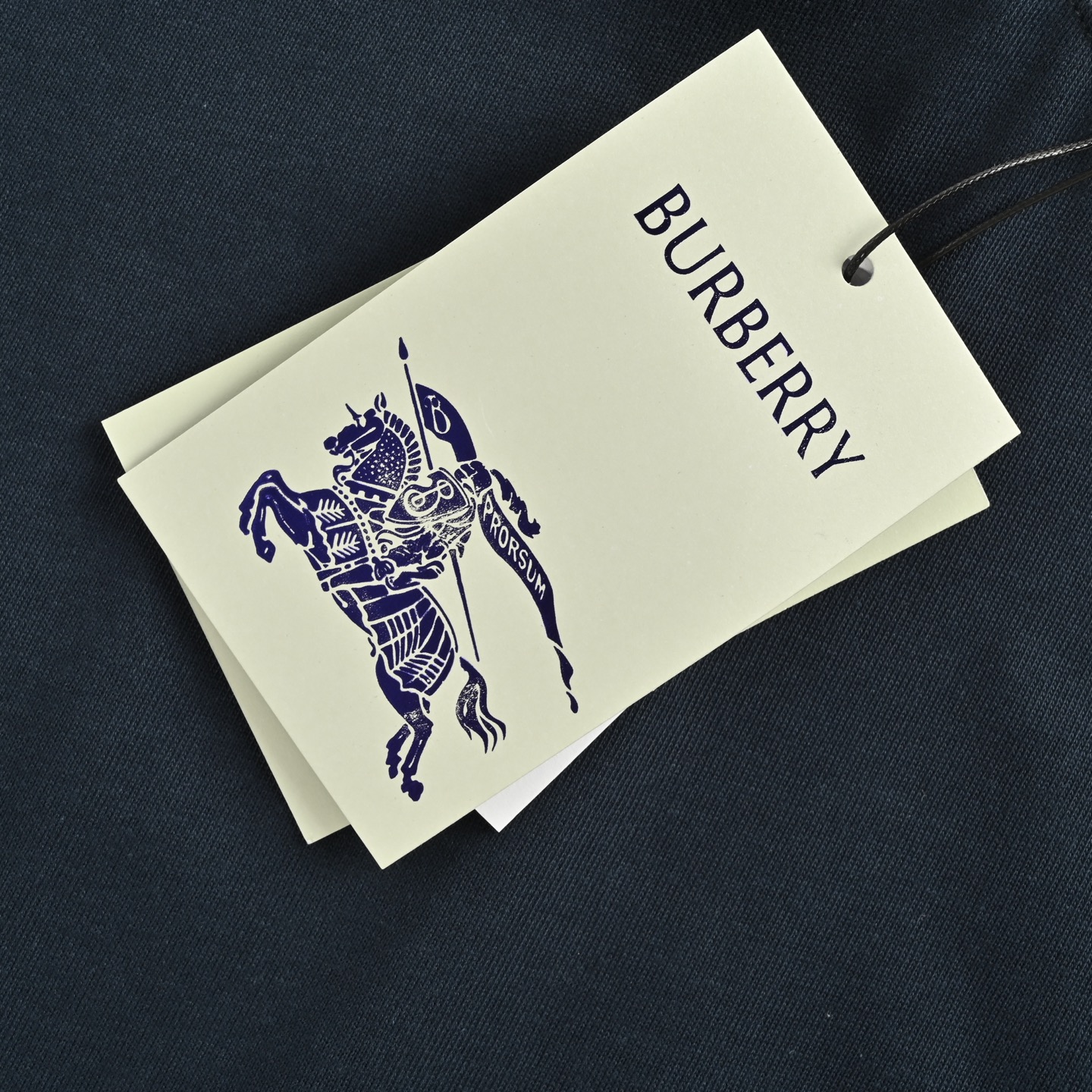 Burberry/巴宝莉 25ss 领口字母提花短袖 宝蓝-Chinese UA Cheap High Quatity Brand Clothes Bags handbags Sneakers wholesale wholesaler seller from China Factory suppliers Fashion Clothing Shoes best Quality Beautiful Price Burberry/巴宝莉 25ss 领口字母提花短袖 宝蓝