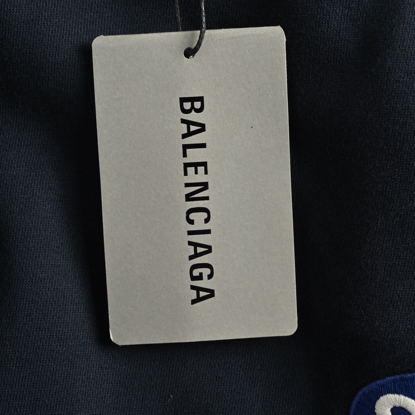 Balenciaga/巴黎世家 Scholl刺绣紫圆标长裤