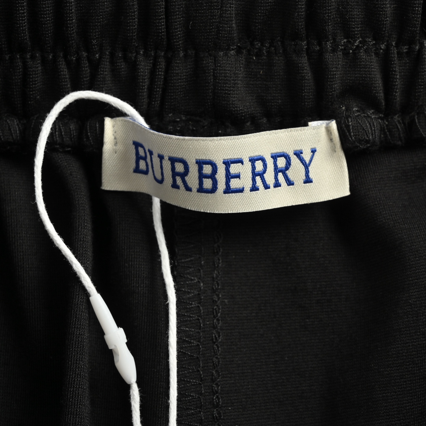 Balenciaga/巴黎世家 Scholl刺绣紫圆标长裤