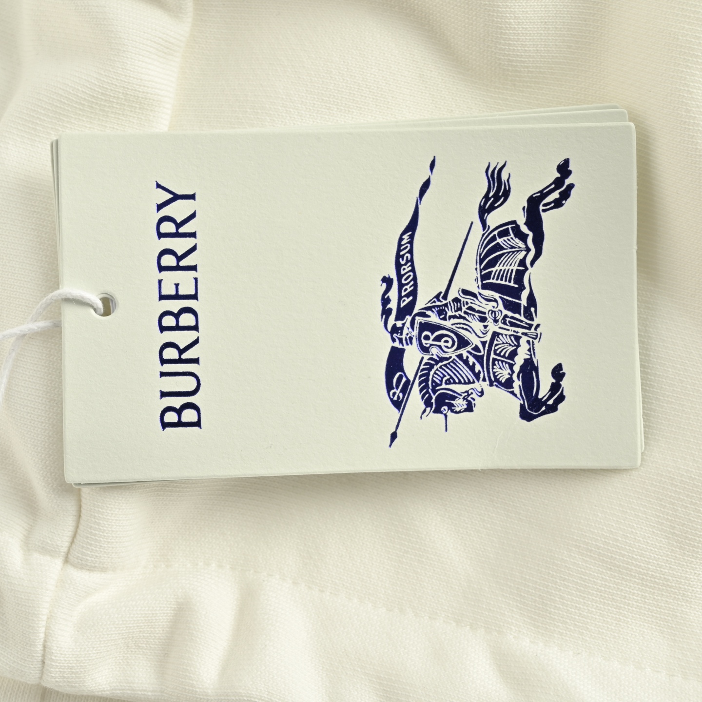 Burberry 巴宝莉 圆圈战马徽标发泡印花连帽卫衣-Chinese UA Cheap High Quatity Brand Clothes Bags handbags Sneakers wholesale wholesaler seller from China Factory suppliers Fashion Clothing Shoes best Quality Beautiful Price Burberry 巴宝莉 圆圈战马徽标发泡印花连帽卫衣