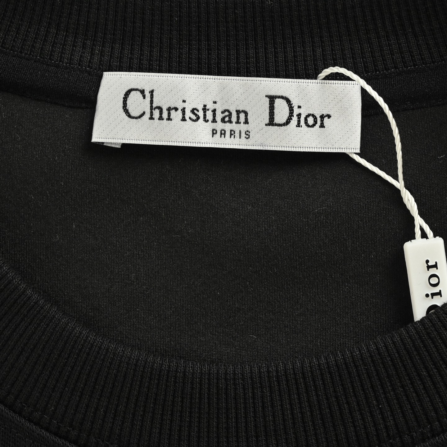Dior/迪奥 25Fw 小恐龙刺绣圆领卫衣 Dior新款圆领卫衣