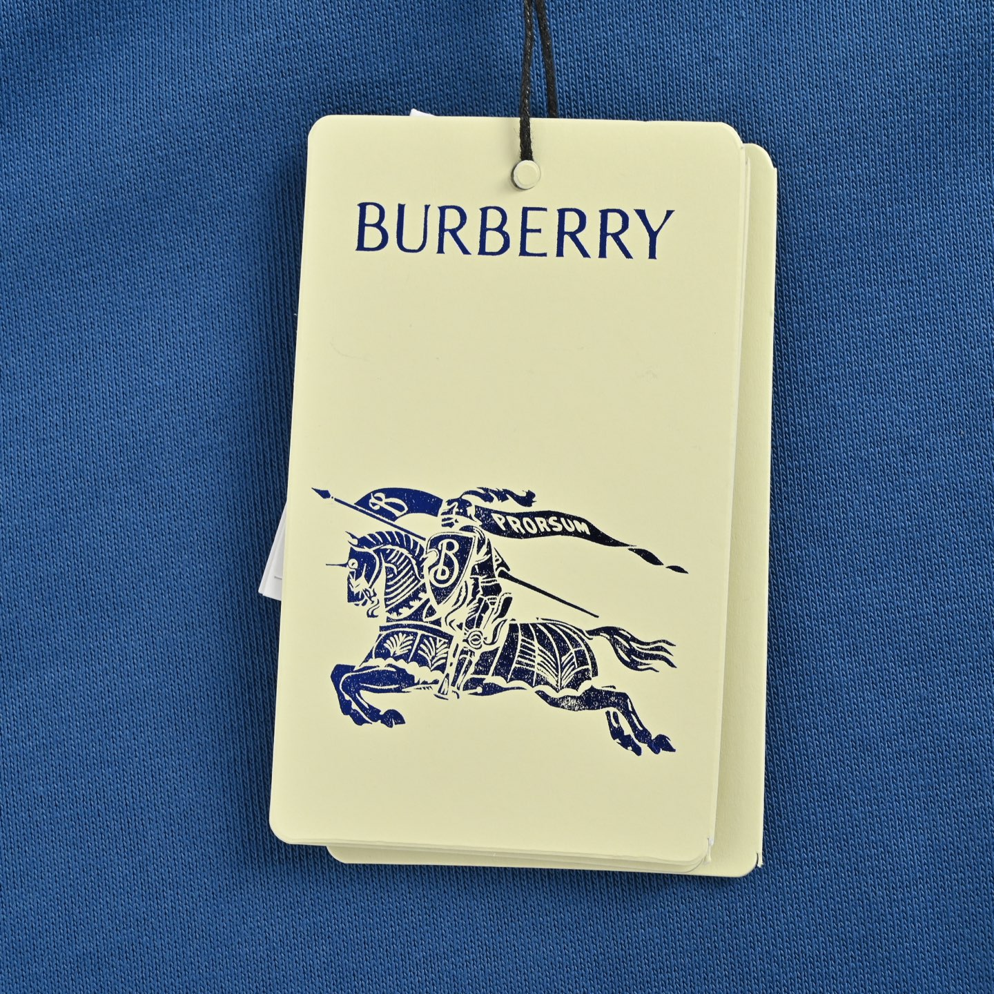 Burberry/巴宝莉 25Fw 后背战马圆圈印花连帽卫衣-High Quatity Cheap Brand wholesale wholesaler seller Clothes Bags handbags Sneakers Top Fashion Clothing Shoes from China Factory Chinese suppliers best Quality Beautiful Price Burberry/巴宝莉 25Fw 后背战马圆圈印花连帽卫衣