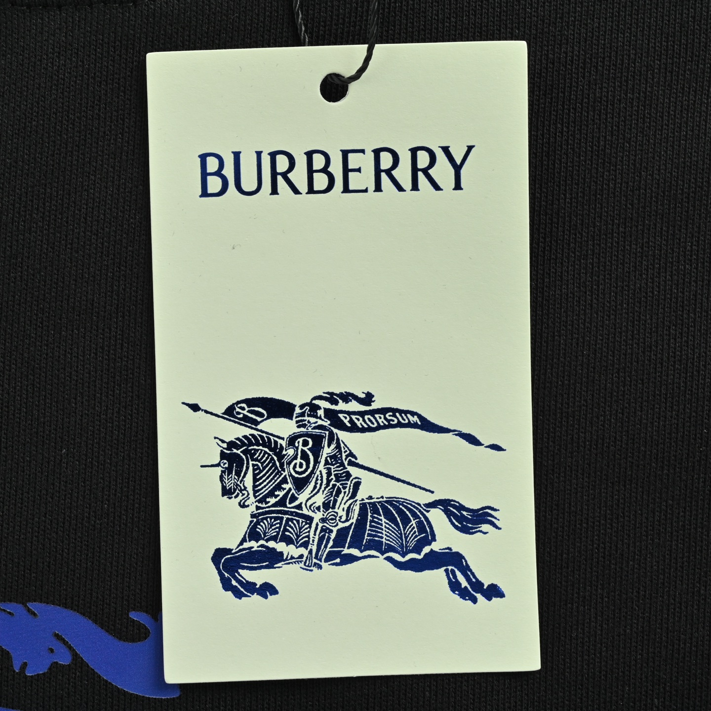 Burberry/巴宝莉 25Fw 蓝色战马印花圆领卫衣