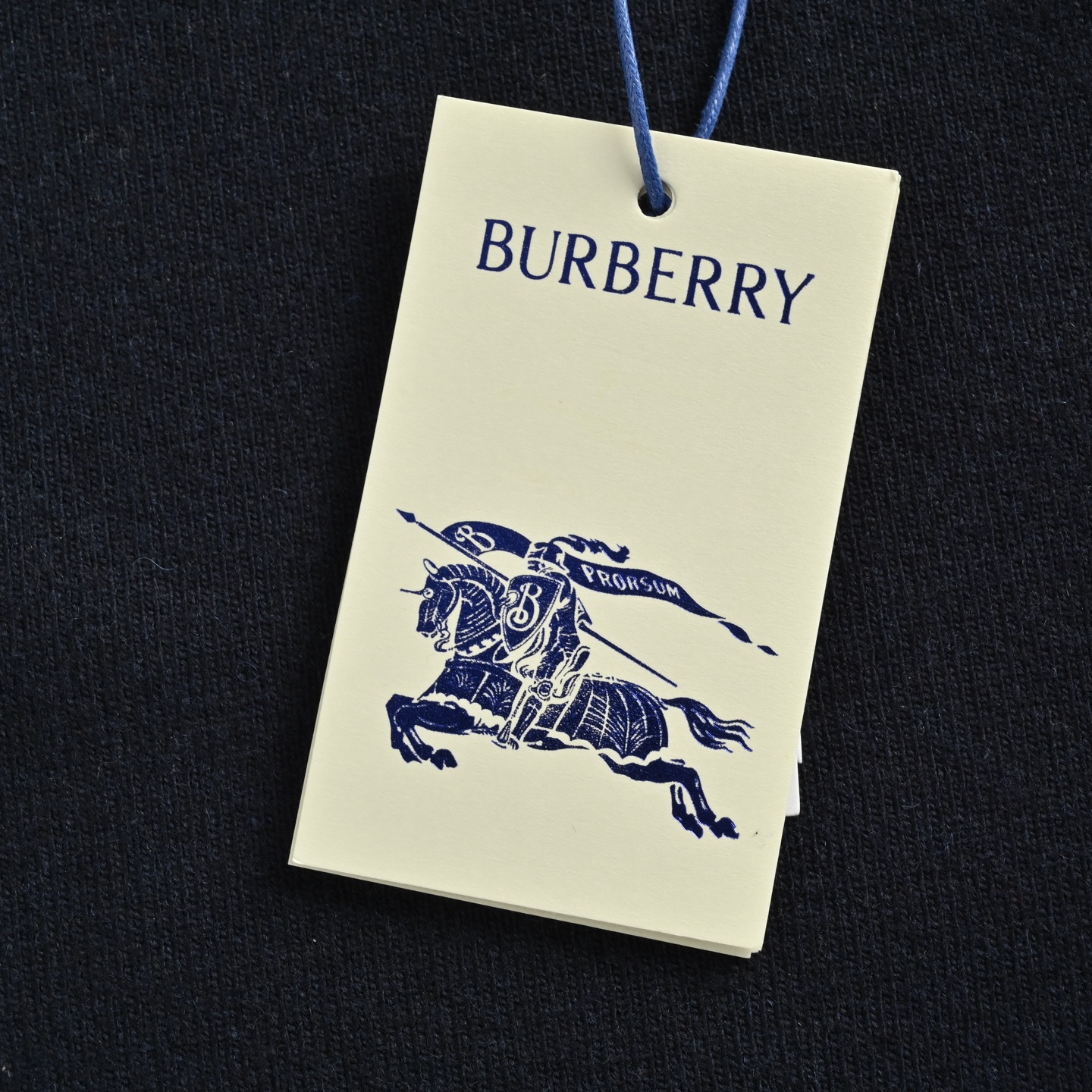 Burberry/巴宝莉 25Fw 战马绣拉链针织连帽外套-High Quatity Cheap Brand wholesale wholesaler seller Clothes Bags handbags Sneakers Top Fashion Clothing Shoes from China Factory Chinese suppliers best Quality Beautiful Price Burberry/巴宝莉 25Fw 战马绣拉链针织连帽外套