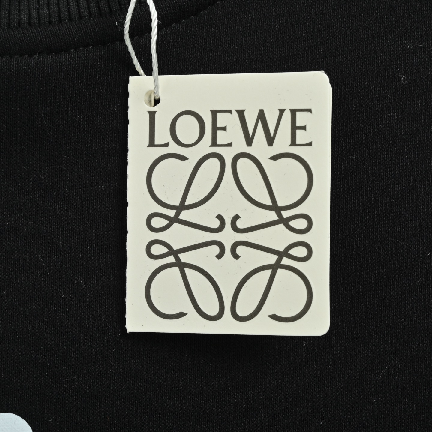 Loewe/罗意威 25Fw 彩色印花圆领卫衣
